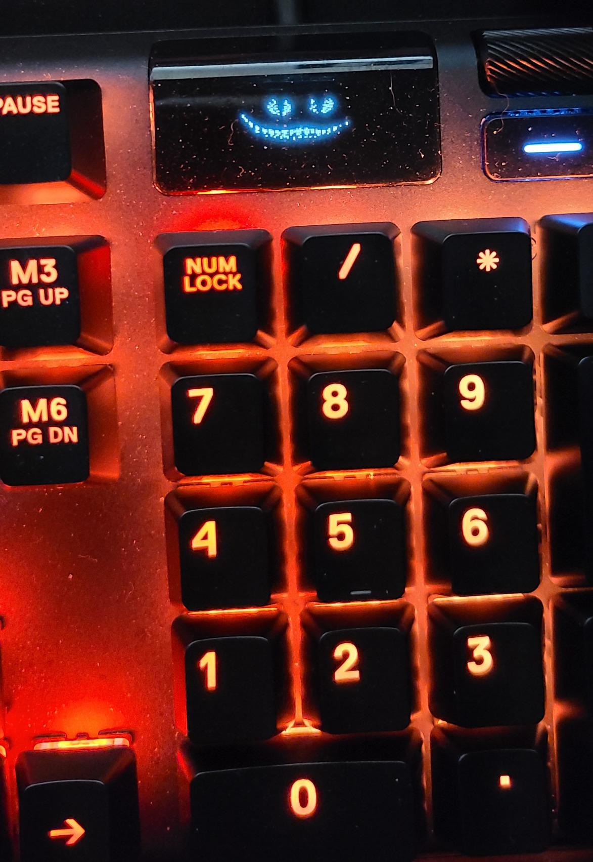 SteelSeries Apex 7 Mechanical Gaming Keyboard - OLED Smart Display - USB Passthrough and Media Controls - Tactile and Clicky - RGB Backlit (Blue Switch) customer photo 1