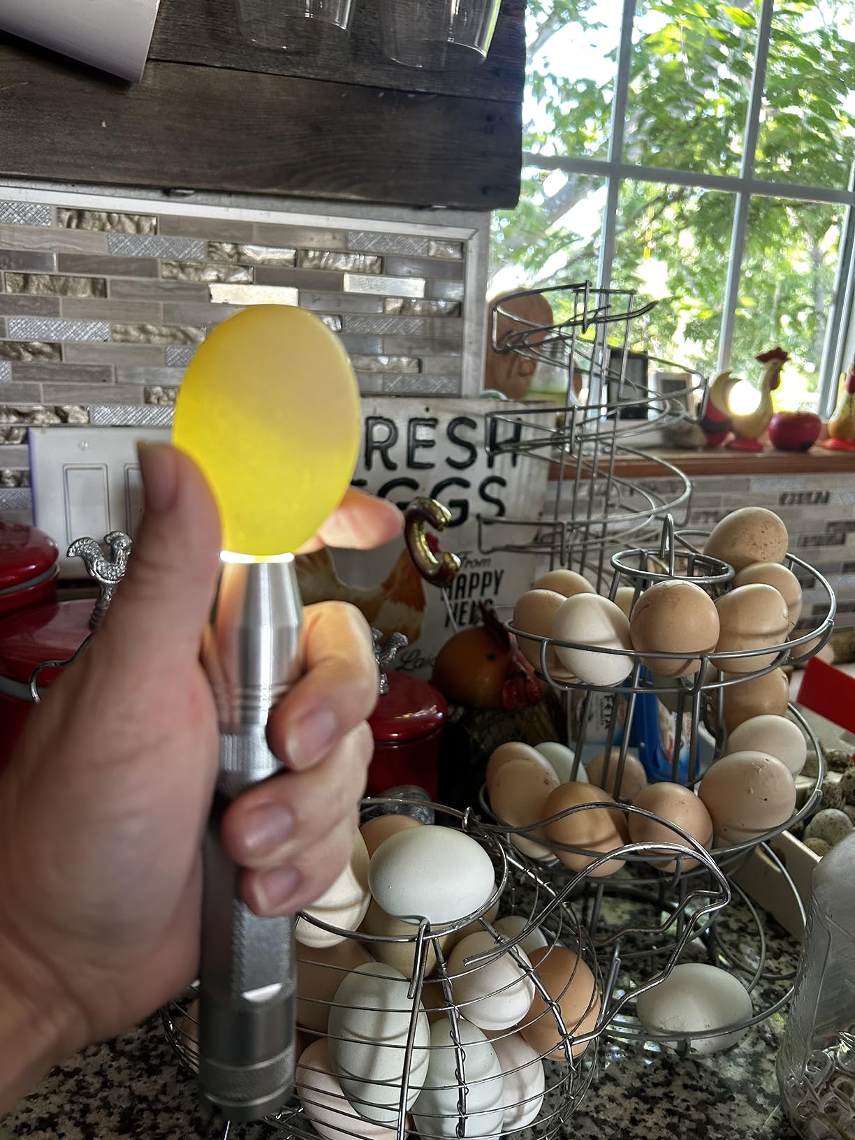 Egg Candler Light Tester Egg Candler Tester Candling Lamp for All Egg Typy customer photo 1