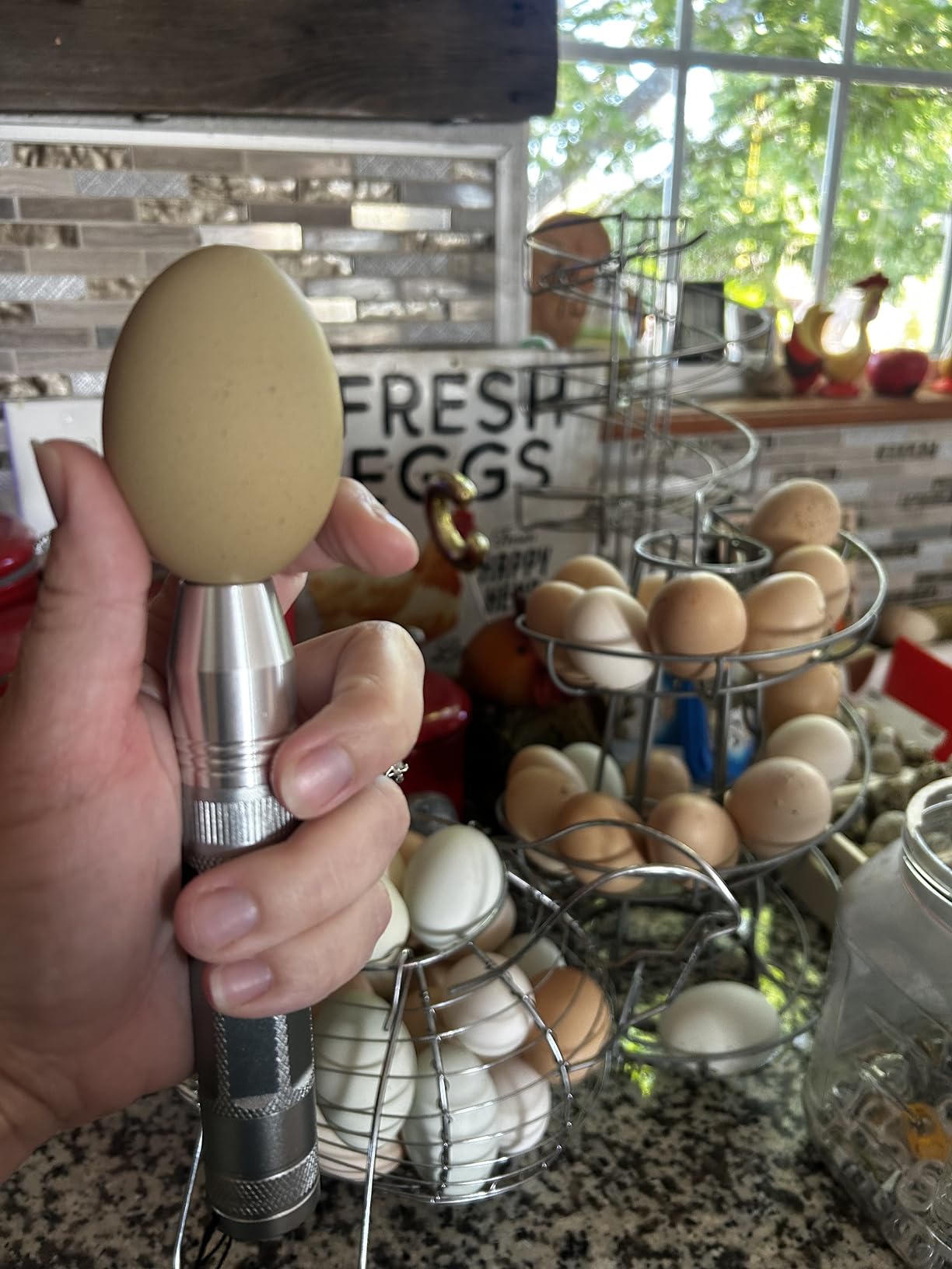 Egg Candler Light Tester Egg Candler Tester Candling Lamp for All Egg Typy customer photo 2