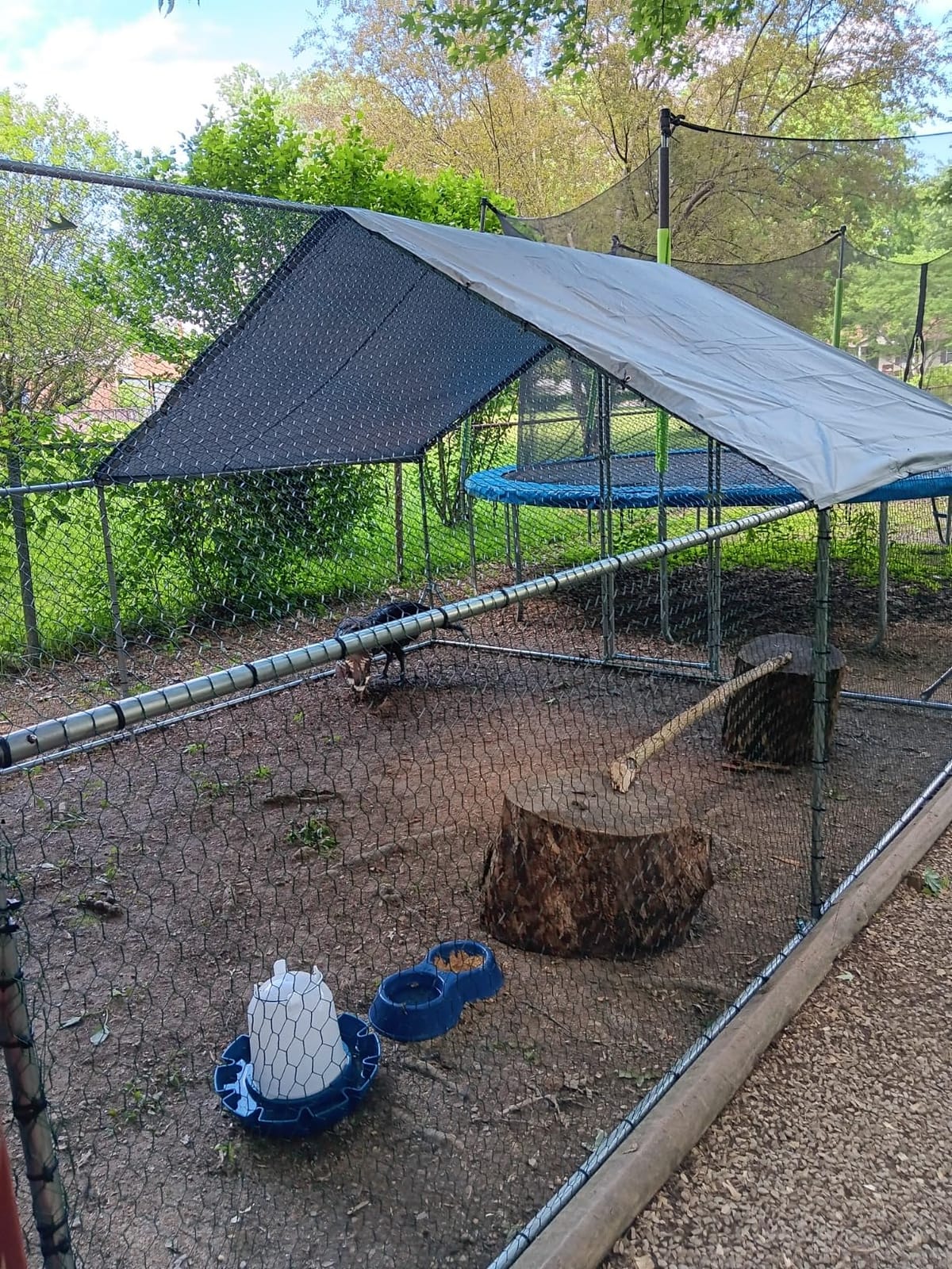 LEMBERI 20x10 FT Extra Large Metal Chicken Coop, Walk-in Run customer photo 2