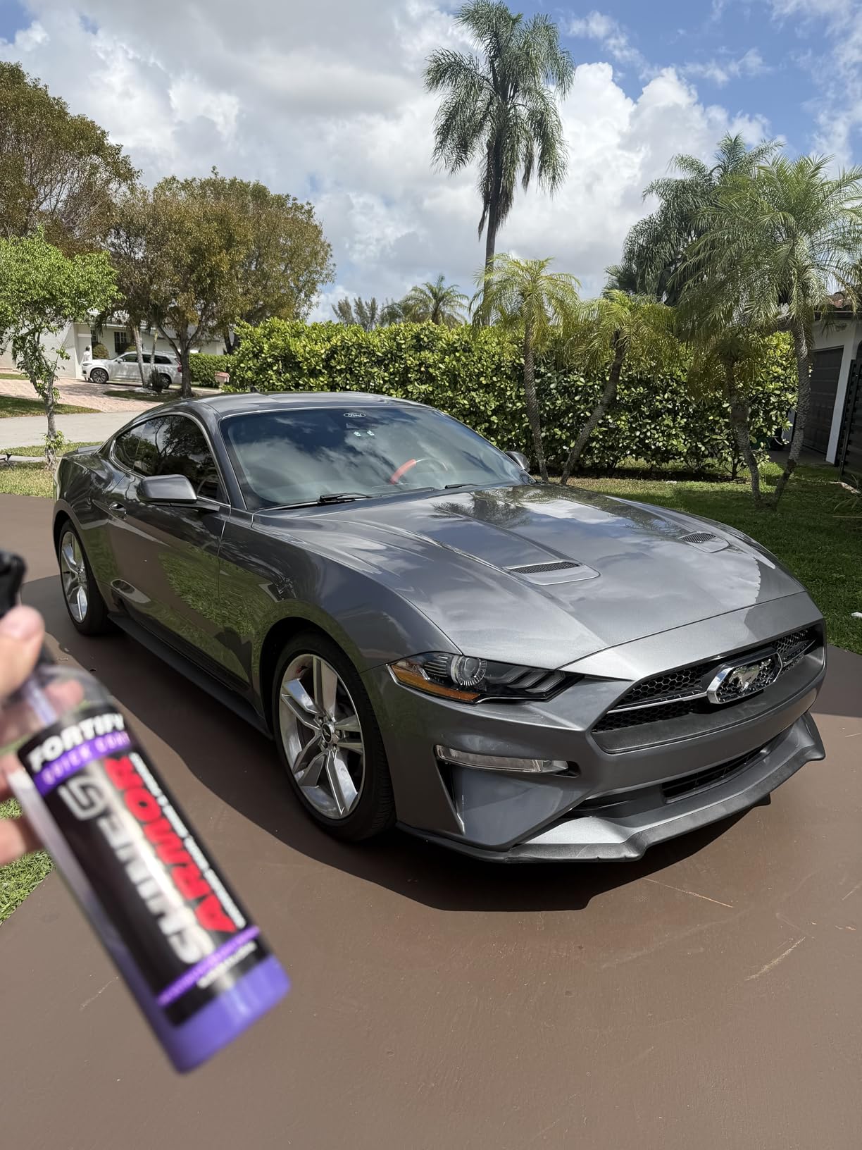 SHINE ARMOR Fortify Quick Coat Ceramic Coating Spray, 16 fl oz customer photo 1