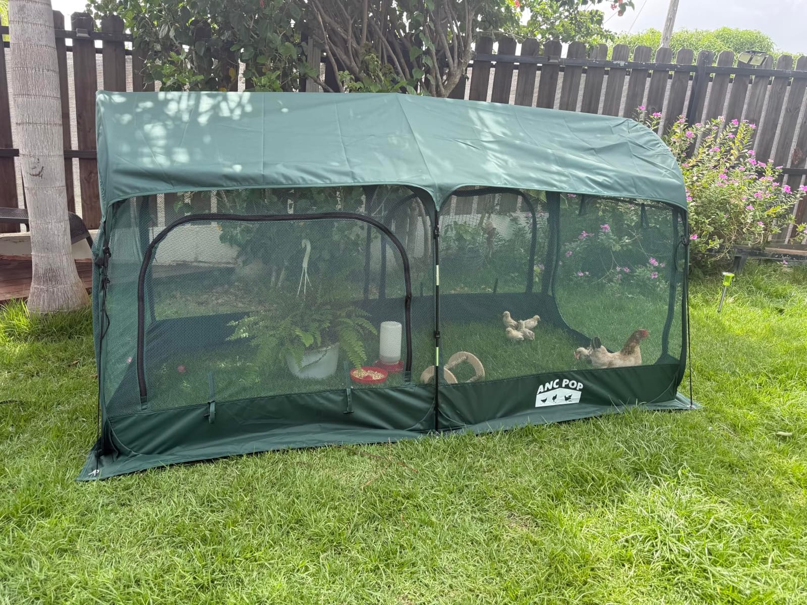 ANC POP Portable Chicken Run Large Pop-Up Chicken Pen for Small Animals Outdoor Gardening Net with 3 Doors and Handbag, Easy to Install and Storage, Green customer photo 2
