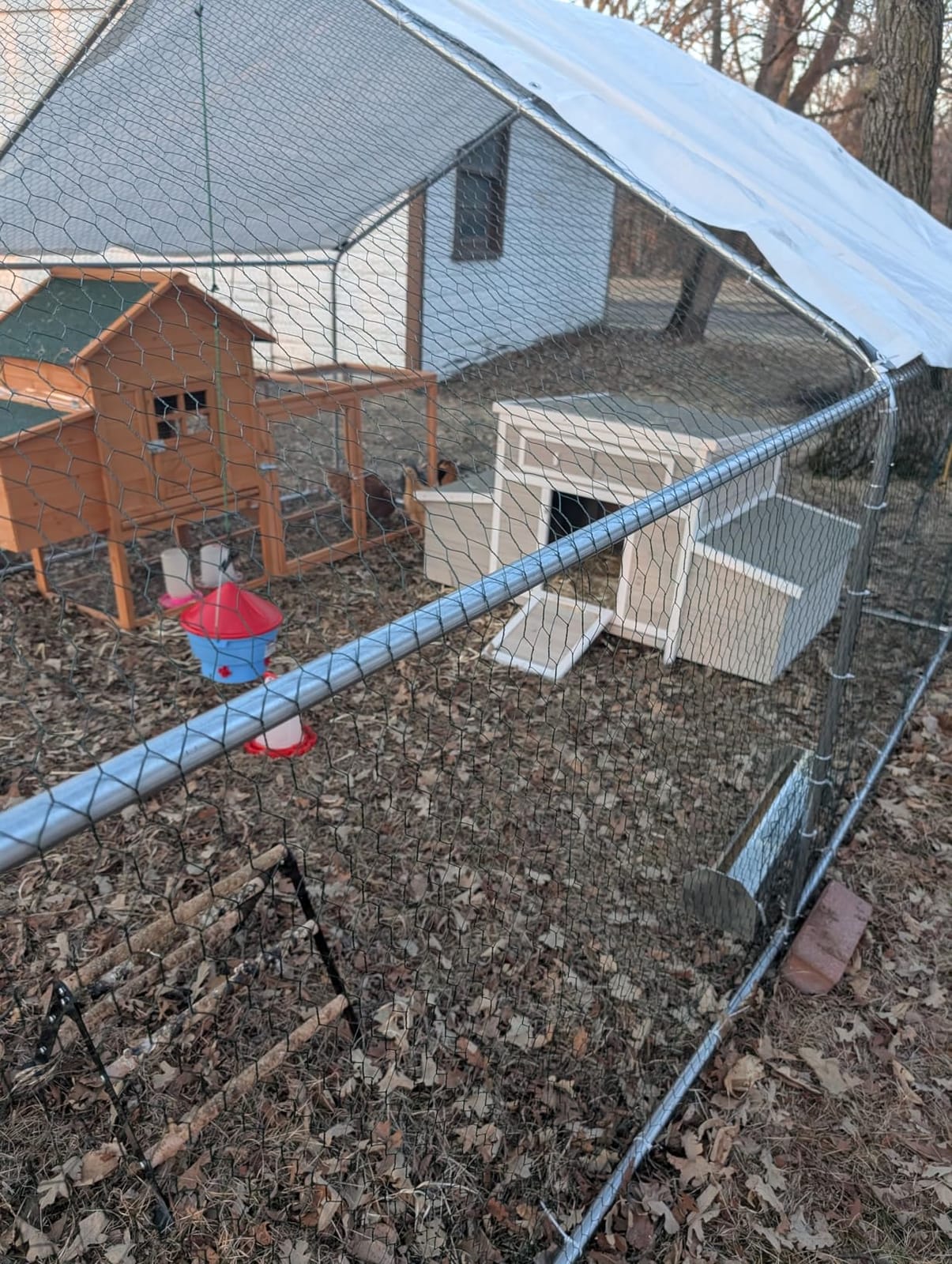 CHIKENCOOP 9.8 x 6.5 x 6.5 ft Metal Chicken Coop, Chicken Run with Cover customer photo 1