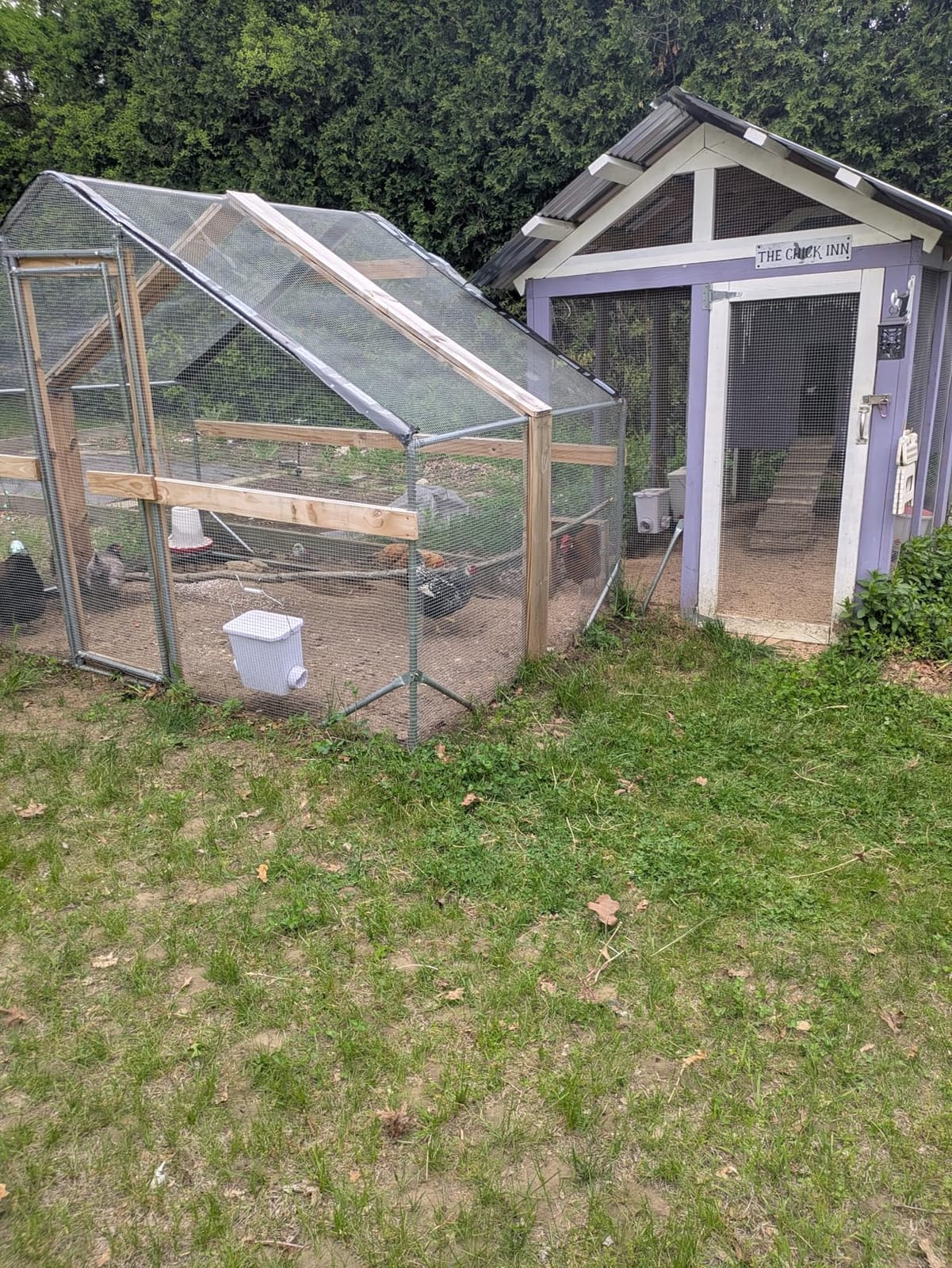 CHIKENCOOP 9.8 x 6.5 x 6.5 ft Metal Chicken Coop, Chicken Run with Cover customer photo 2