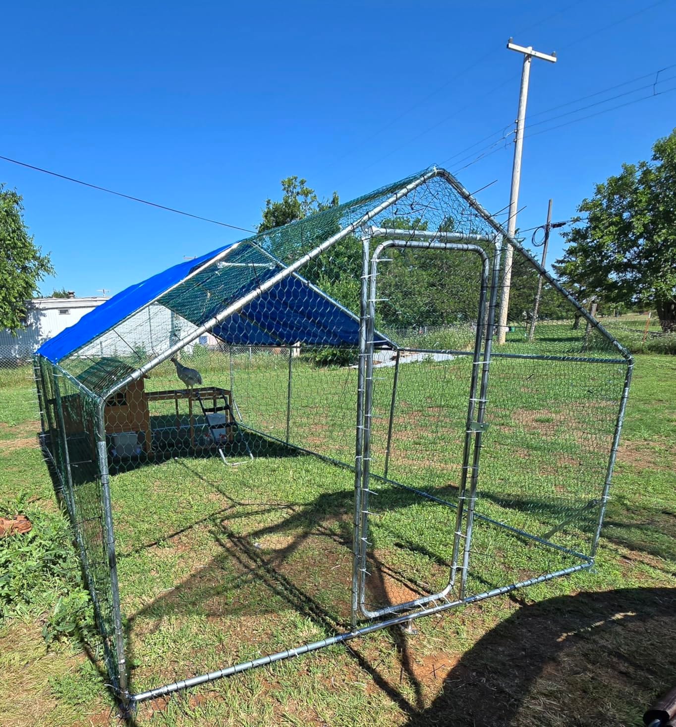Sino Luban Large Metal Chicken Coop Run for 10 Chickens/Ducks, Chicken Runs for Yard with Waterproof Cover, Chicken Enclosure Chicken Pen Outdoor, Walk-in Poultry Cage (Upgrade Wall Support Brace) customer photo 1