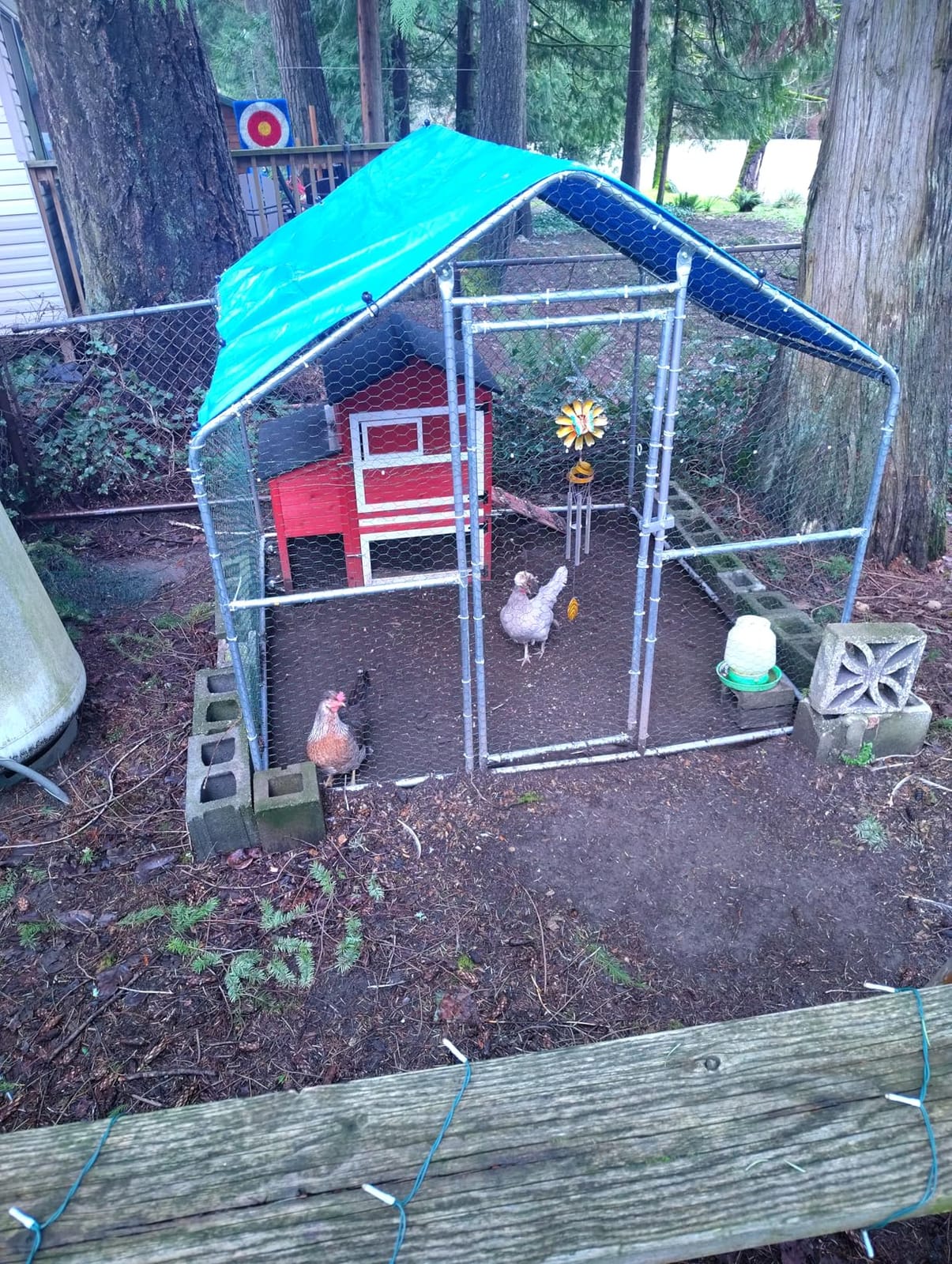 Sino Luban Large Metal Chicken Coop Run for 10 Chickens/Ducks, Chicken Runs for Yard with Waterproof Cover, Chicken Enclosure Chicken Pen Outdoor, Walk-in Poultry Cage (Upgrade Wall Support Brace) customer photo 2