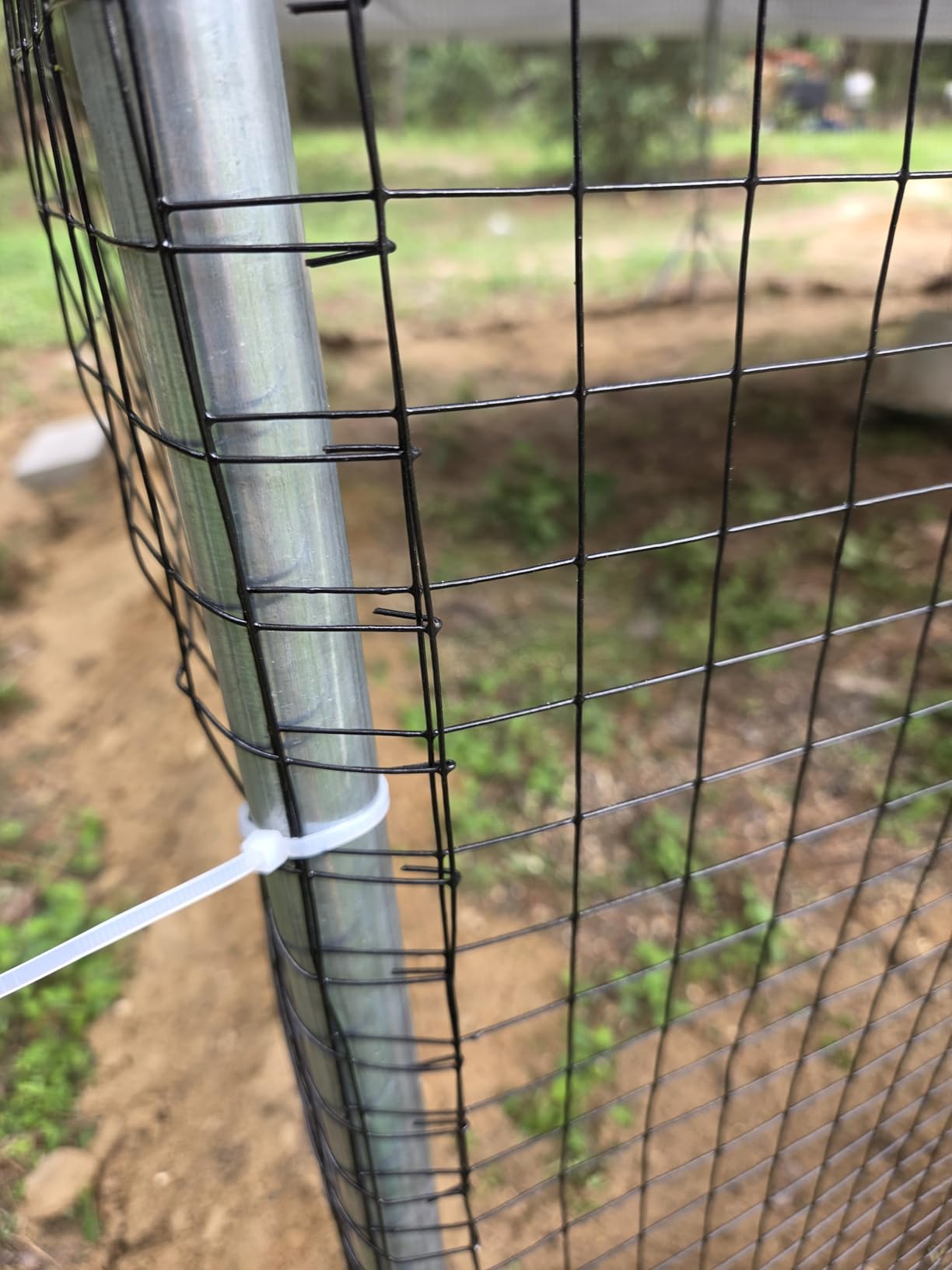 CHIKENCOOP 19.5x9.8x6.5ft Metal Chicken Coop, 3-Room Run, Hardware Cloth customer photo 1