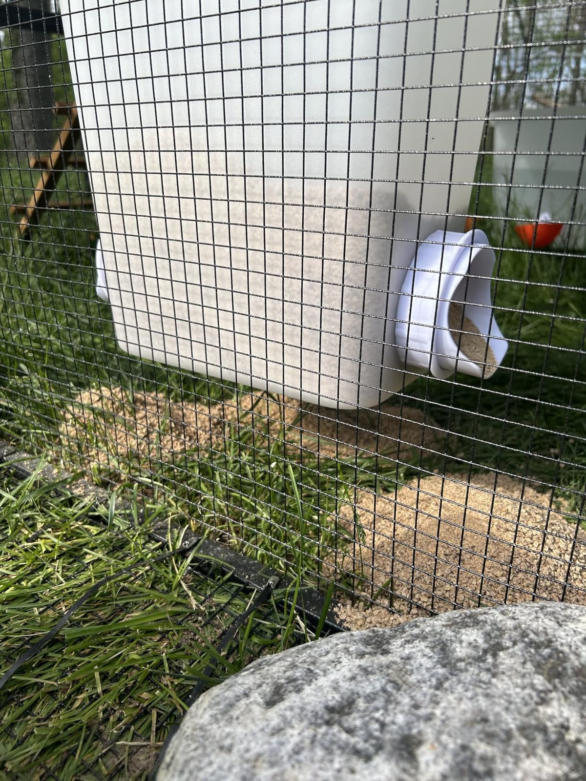 Automatic Chicken Feeder & Waterer Set Chicken Feed Bucket, Large Capactiy customer photo 2