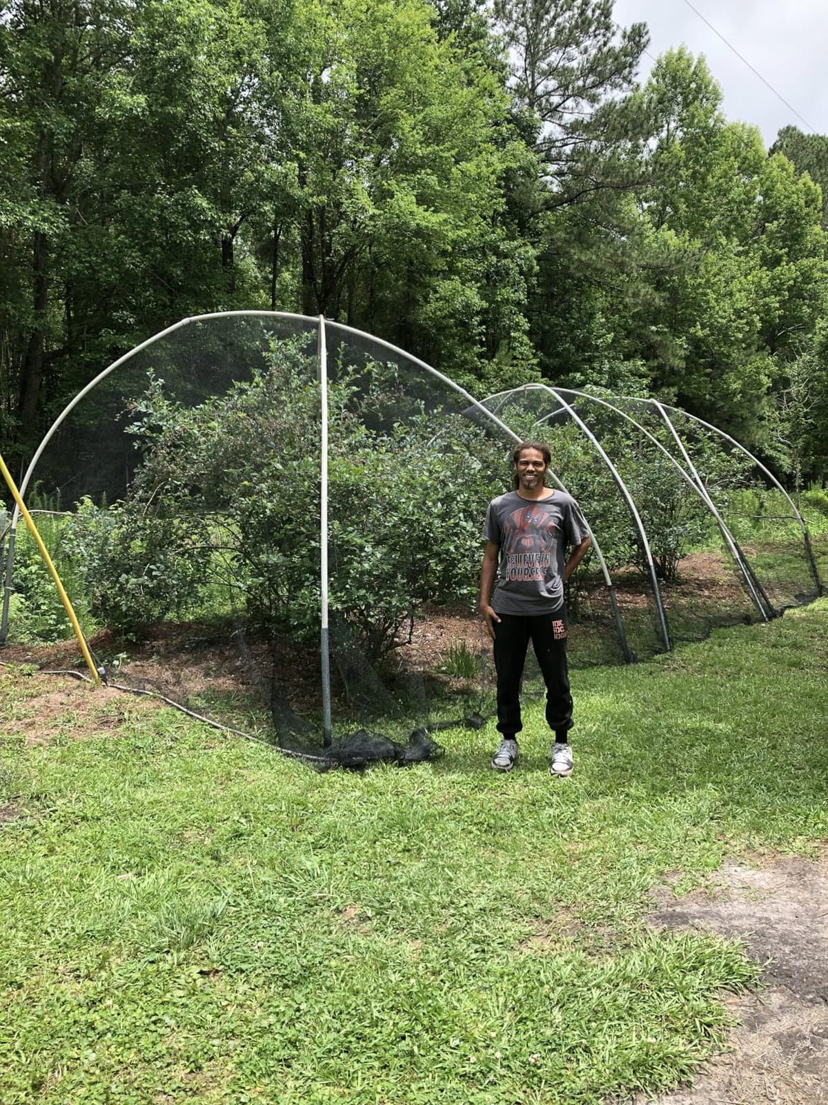 Bird Netting 50x50 Ft, 1 in Mesh Heavy Duty Garden Netting customer photo 1