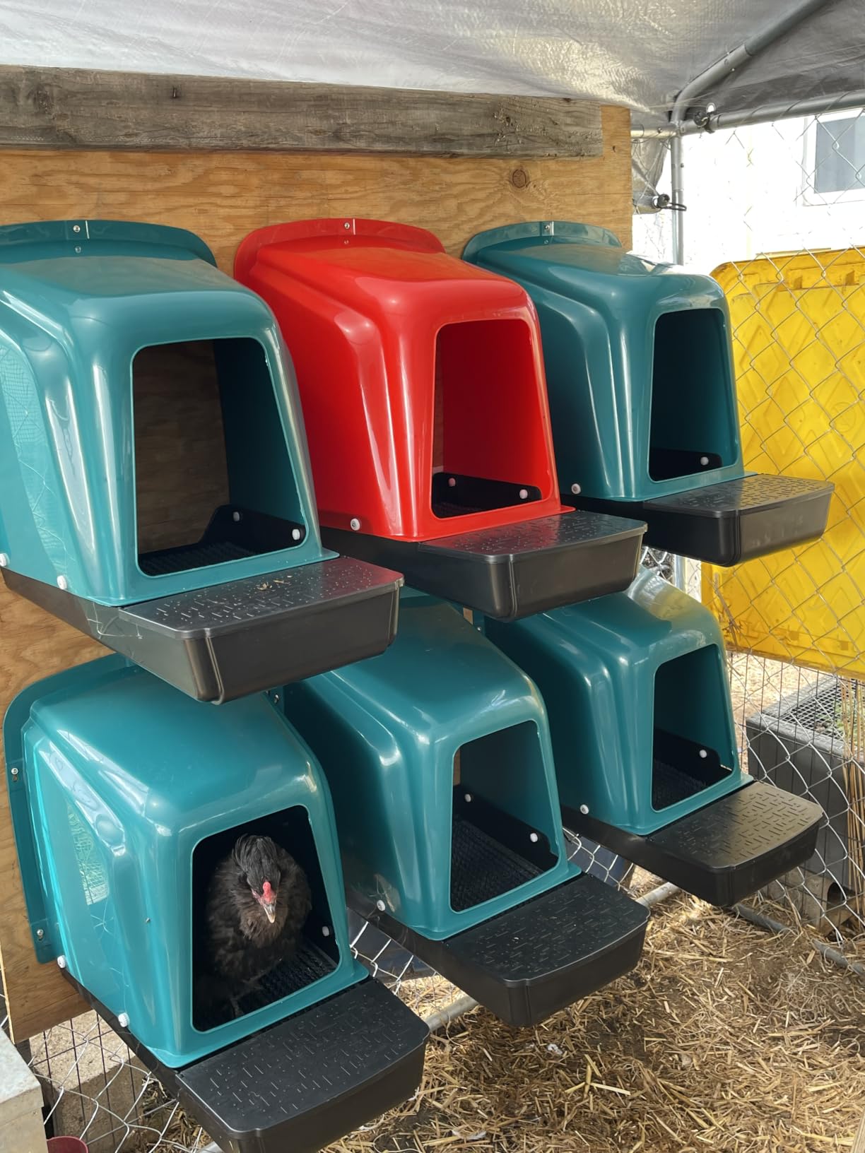 10‑Pack Chicken Nesting Boxes, Roll‑Out Egg Collection Chicken Laying Boxes, Large Waterproof Durable Nest Boxes Easy to Install for Chicken Coop customer photo 1