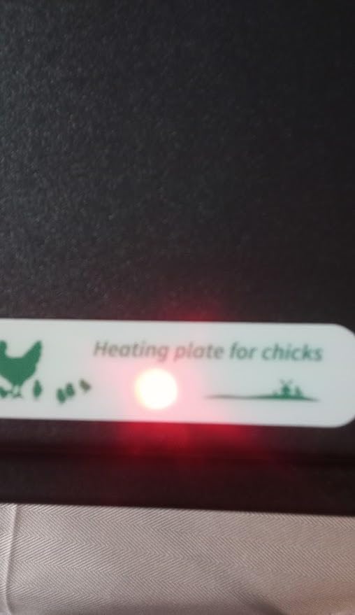 Tetuga Brooder Heat Plate 12 X 16” Chick Heating Plate Warm Up to 40 Chicks customer photo 1