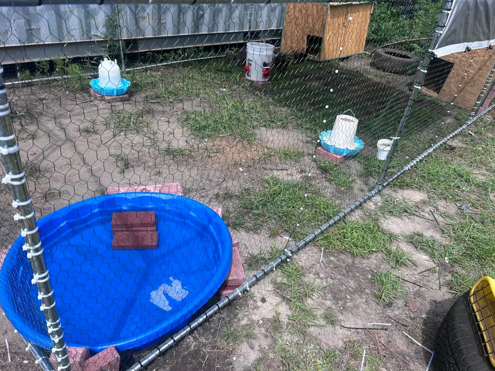 NUGRIART Large Metal Chicken Coop Walk-in Poultry Cage with Water-Resident and Anti-UV Cover Duck Rabbit Cat House Outdoor Chicken Run Pen with Spire Shaped Cage customer photo 1