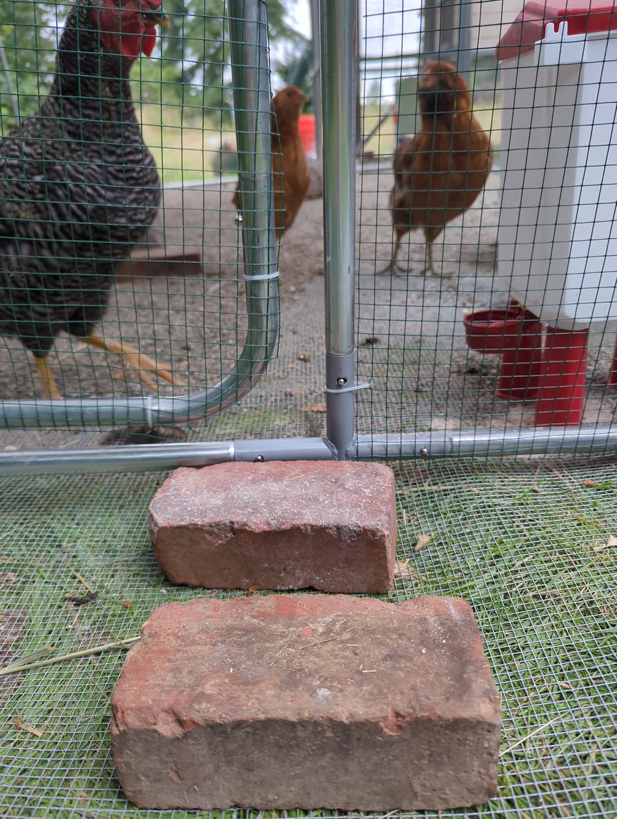 Quictent Large Metal Chicken Coop Run for 30+ Poultry w/Side Hardware Cloth customer photo 1