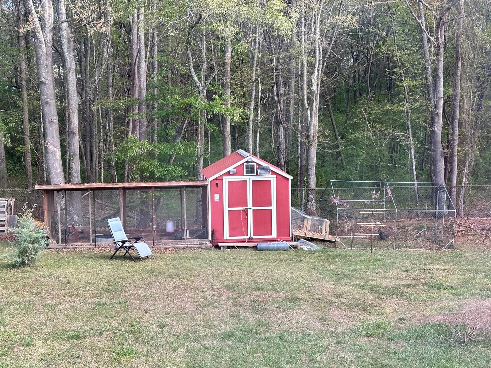 Quictent Large Metal Chicken Coop Run for 30+ Poultry w/Side Hardware Cloth customer photo 2