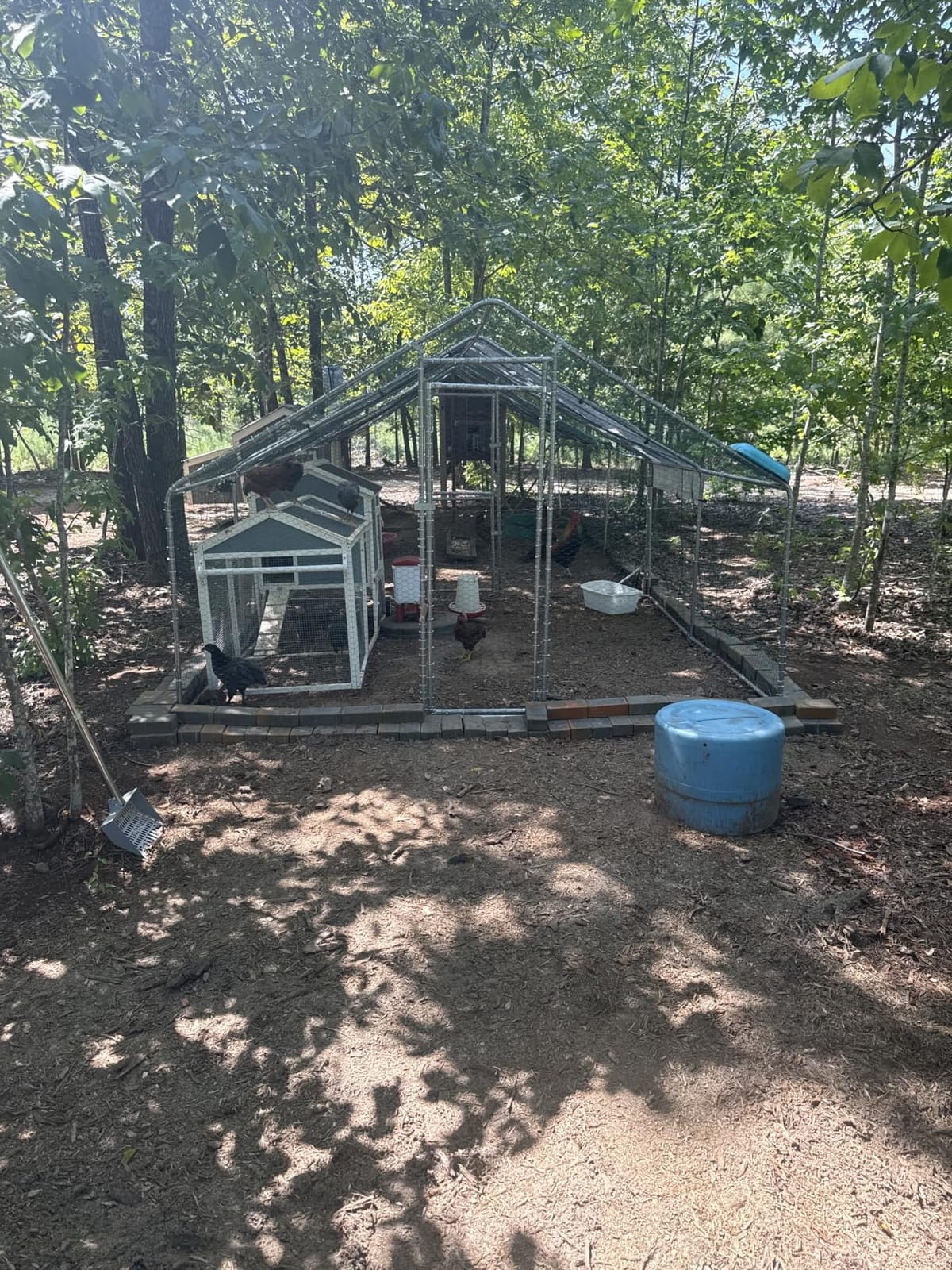 Outvita Chicken Coop, 13×10 FT Large Metal Chicken House, Poultry Habitat Cage with Waterproof Cover, Walk-in Chicken Run Pen for Small Animals, Yard, Farm, Patio customer photo 2