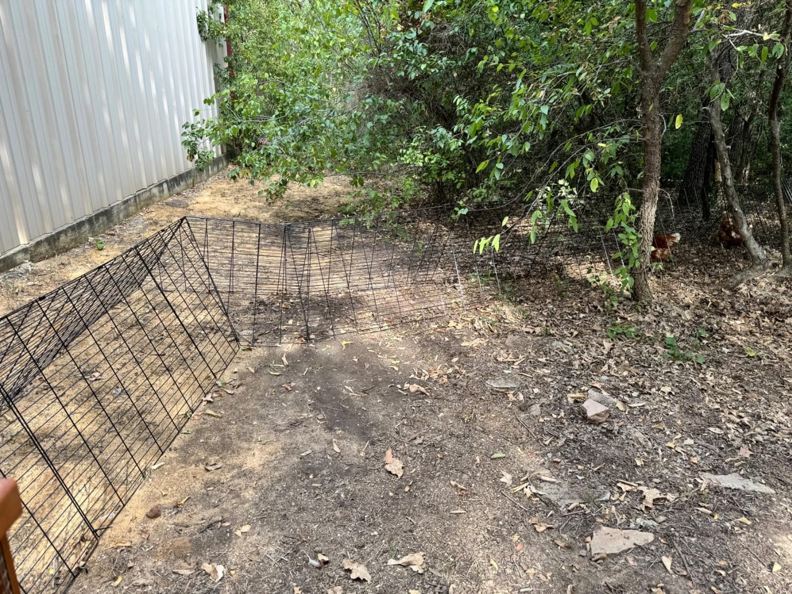VEVOR Chicken Tunnels for Yard, Metal Poultry Playpen for Outside with Waterproof Cover & Corner Frames, 157.5 x 39.4 x 24.2 inch(LxWxH), Also Widely Used for Ducks, Rabbits, Geese Coop customer photo 1