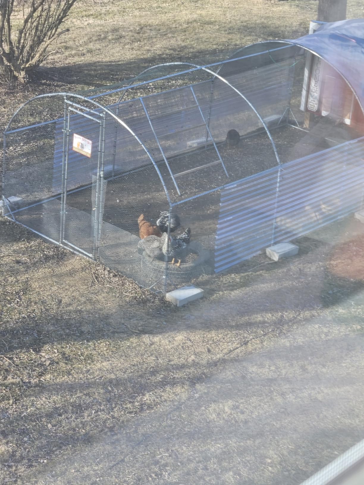 Large Metal Chicken Coop Round Top Upgrade Tri-Supporting Wire Mesh Chicken Run,Chicken Pen with Water-Resident and Anti-UV Cover,Duck Rabbit House Outdoor (25'L x 9'W x 6.5'H) customer photo 1