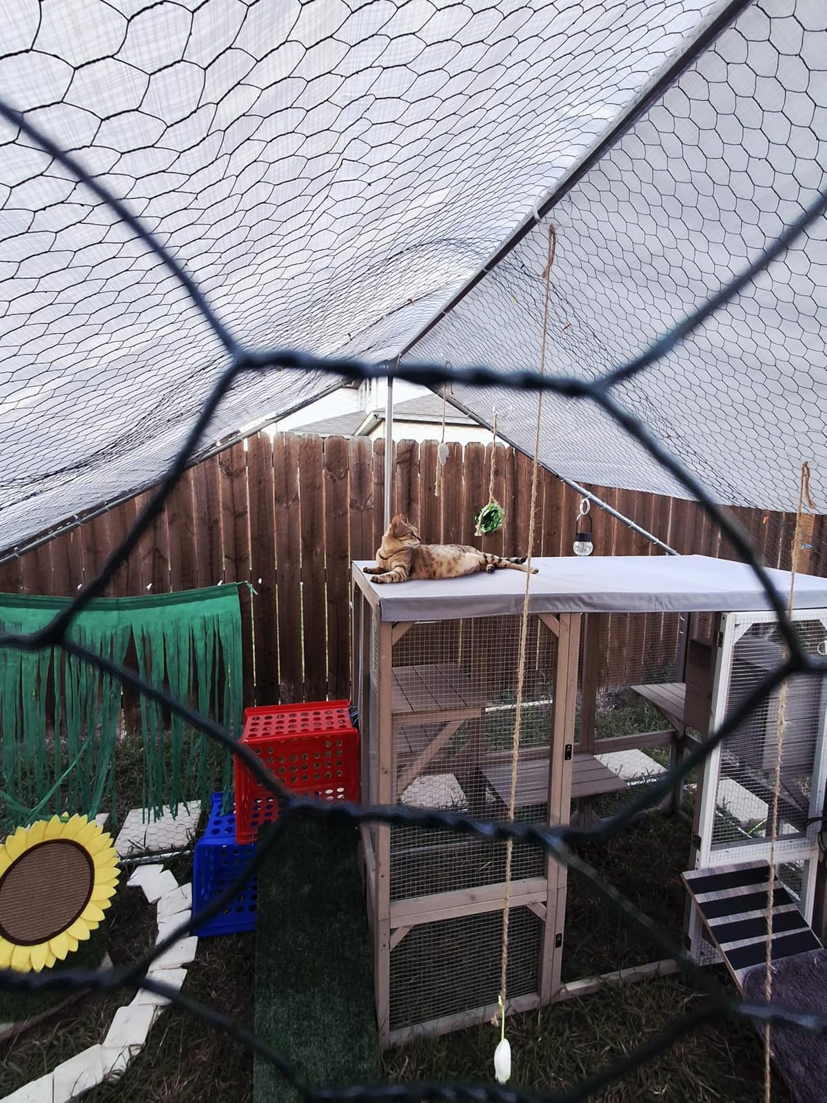 Large Metal Chicken Coop Round Top Upgrade Tri-Supporting Wire Mesh Chicken Run,Chicken Pen with Water-Resident and Anti-UV Cover,Duck Rabbit House Outdoor (25'L x 9'W x 6.5'H) customer photo 2