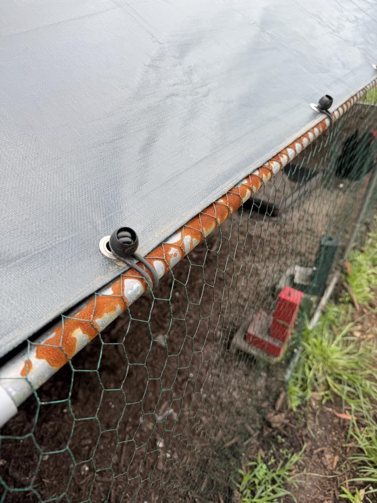 VEVOR Large Metal Chicken Coop, 19.7x9.8x6.5ft Walk-in Chicken Runs for Yard with Cover, Spire Roof Hen House with Security Lock for Outdoor and Backyard, Farm, Duck Rabbit Cage Poultry Pen customer photo 1