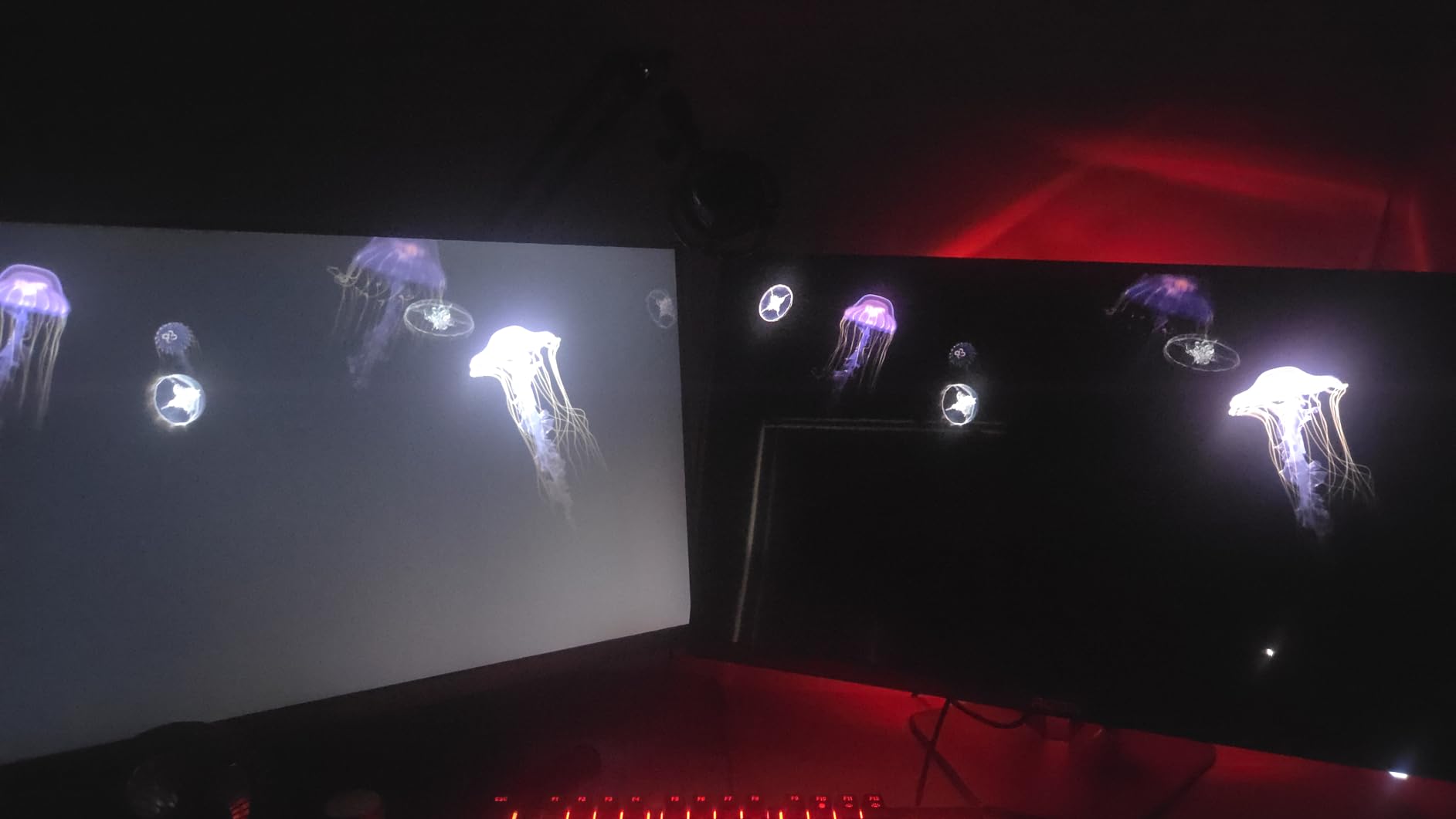 AOC Agon Pro 27 Inch Gaming Monitor QD OLED 240Hz 0.03ms, AG276QZD2 customer photo 1