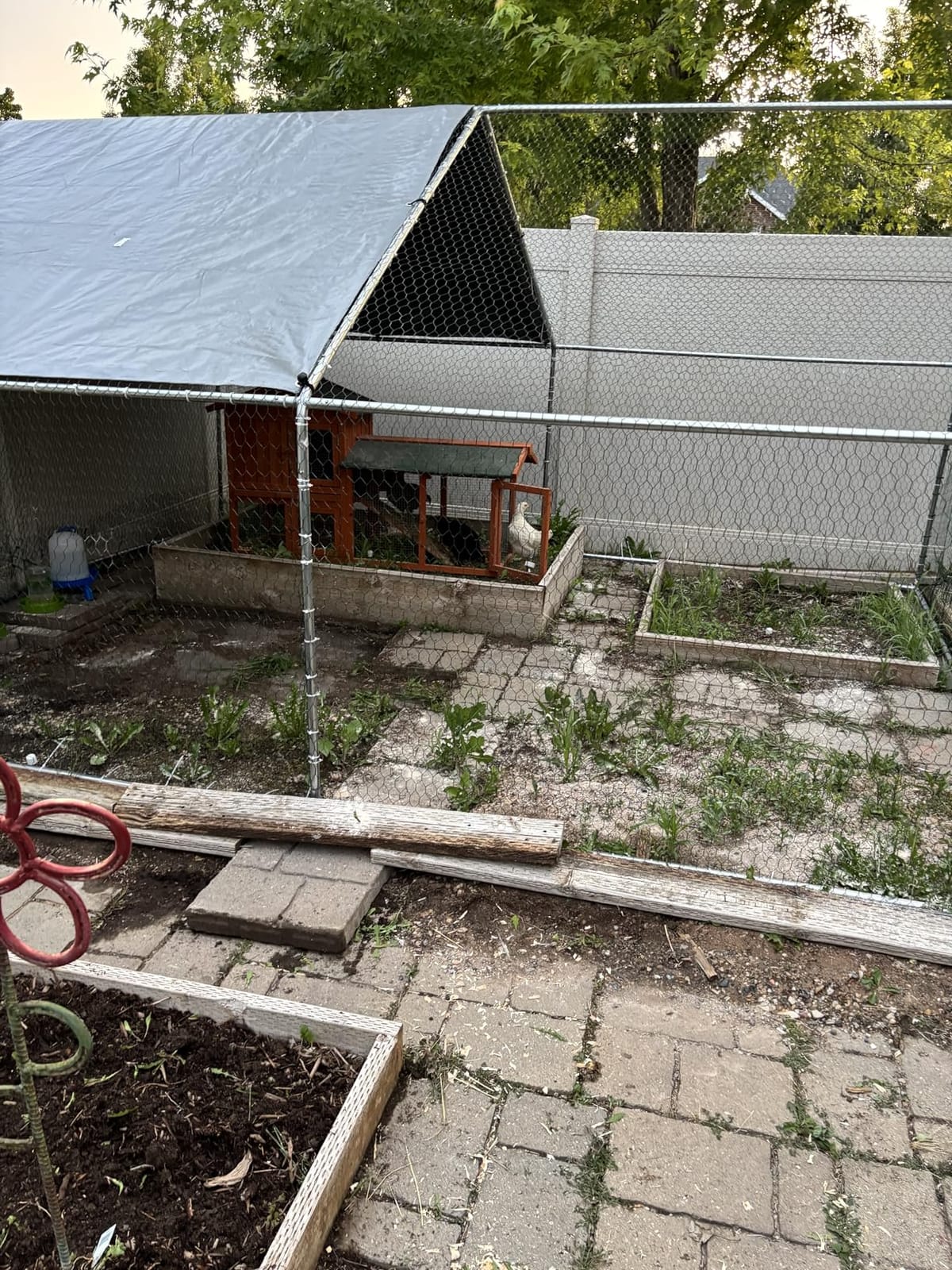 Large Metal Chicken Coop, Chicken Runs for Yard with Cover Walk-in Poultry Cage for 10 20 Chickens, Chicken Pen Duck Coop with Water-Resident Top and Feeding Door, Spire Hen House 12.8Lx9.84Wx6.6H FT customer photo 2