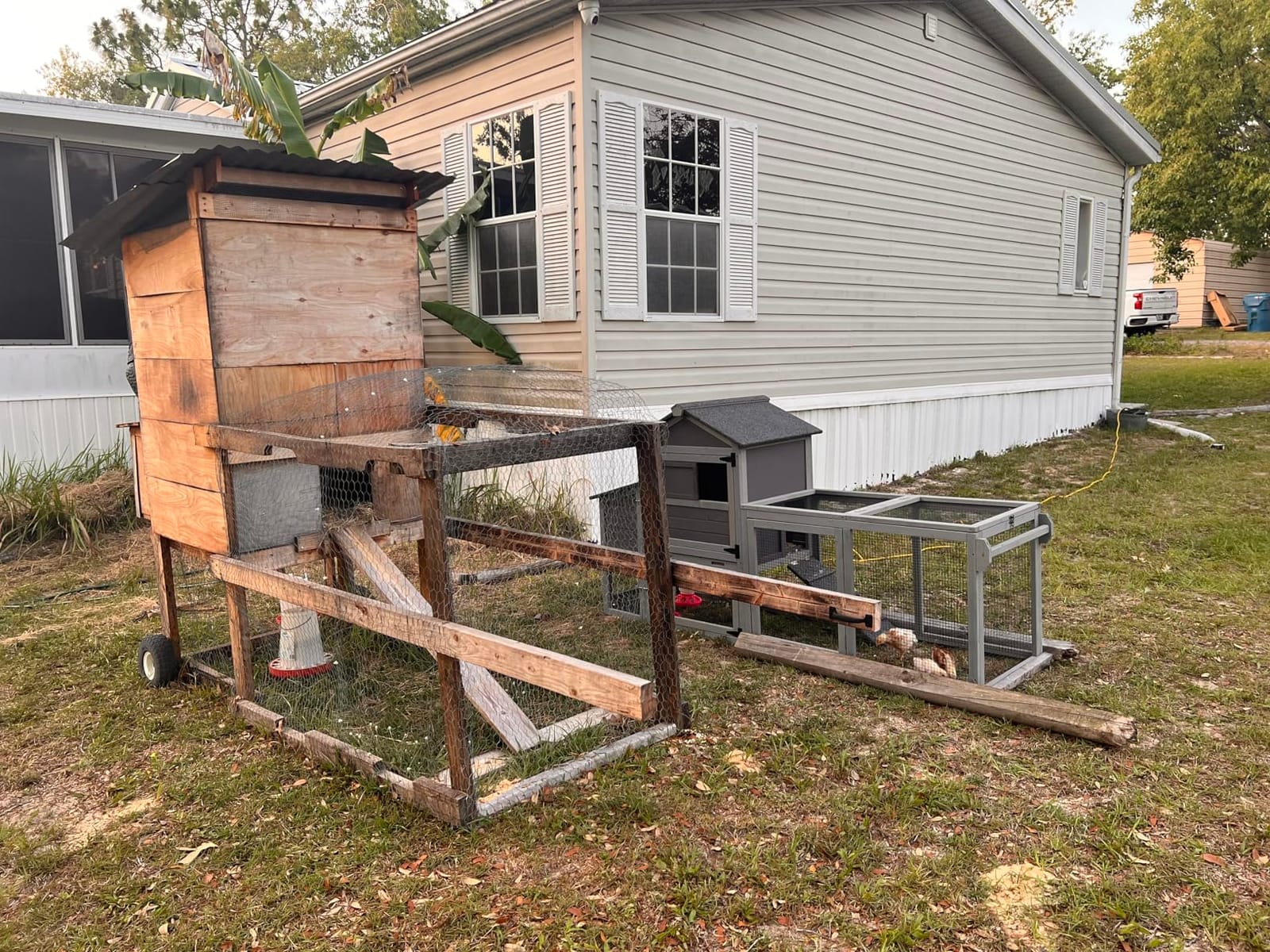 Mobile Chicken Coop for 6-8 Hens, All-Steel Frame Hen House with Wheels Portable Poultry Cage, Metal Run & Nesting Box Duck Coop Large customer photo 1