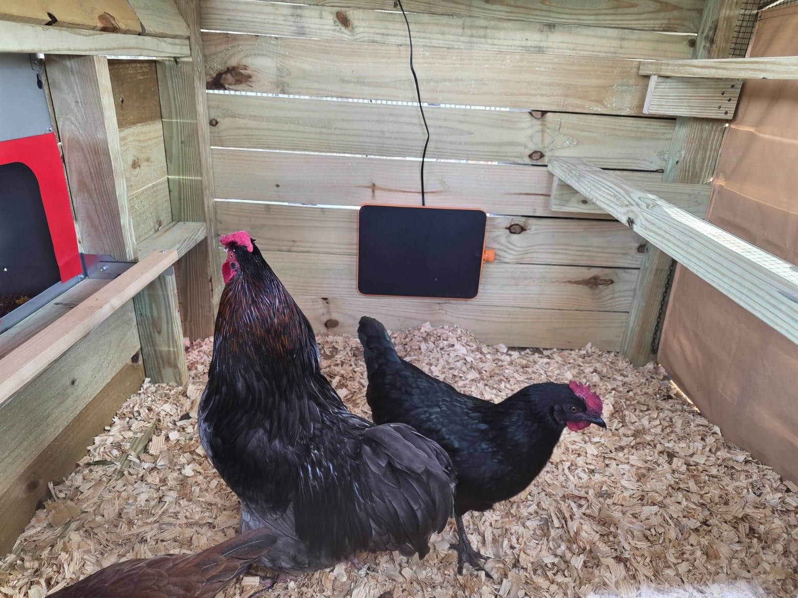 Smart Chicken Coop Heater, 200W Radiant Heat Panel with Temperature Sensor customer photo 2