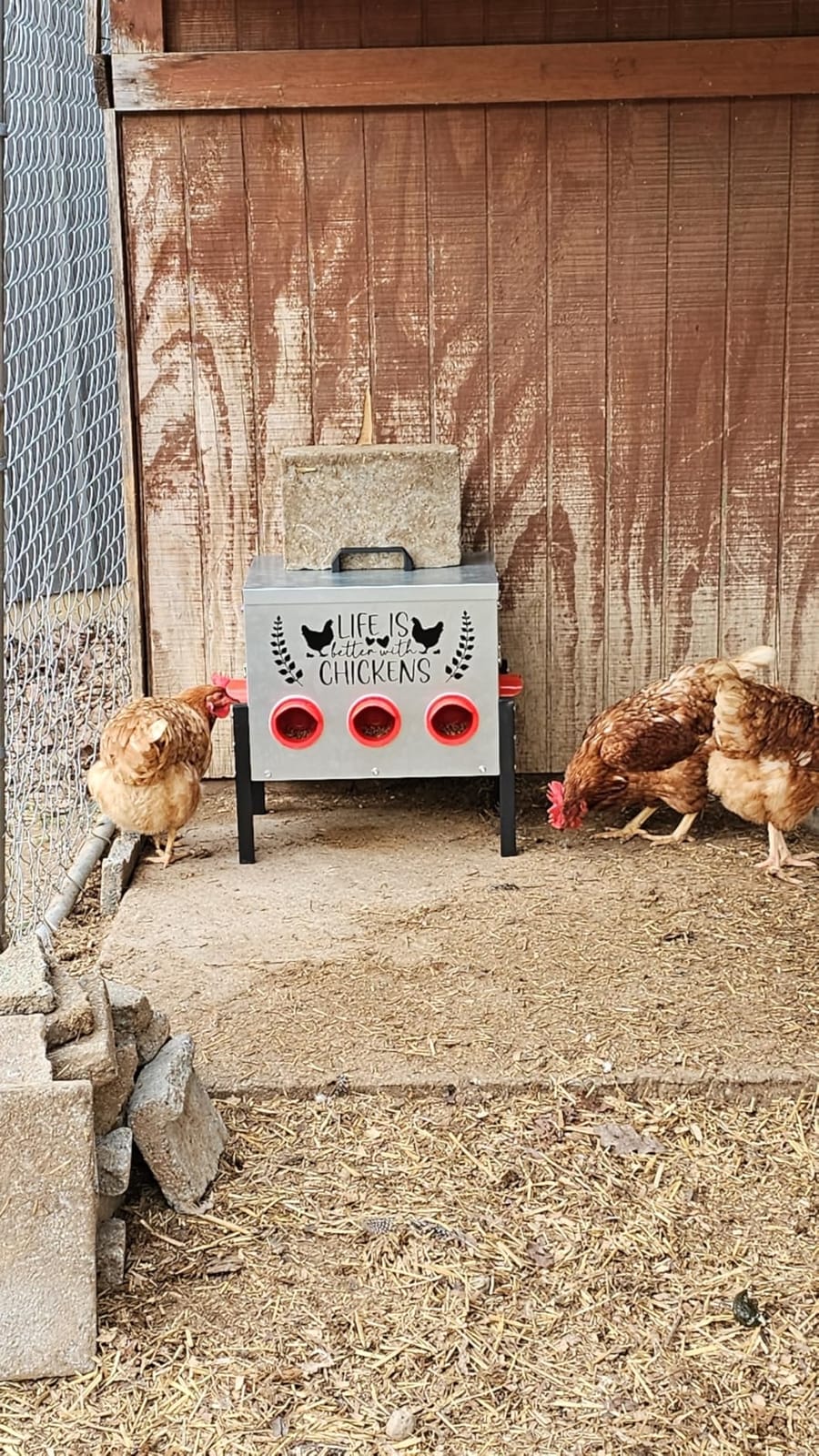 TGEYD 50LB Large Automatic Chicken Feeder – 8 Feeding Ports, No-Waste Poultry Feeder, with Adjustable Legs & Locking Lid customer photo 2