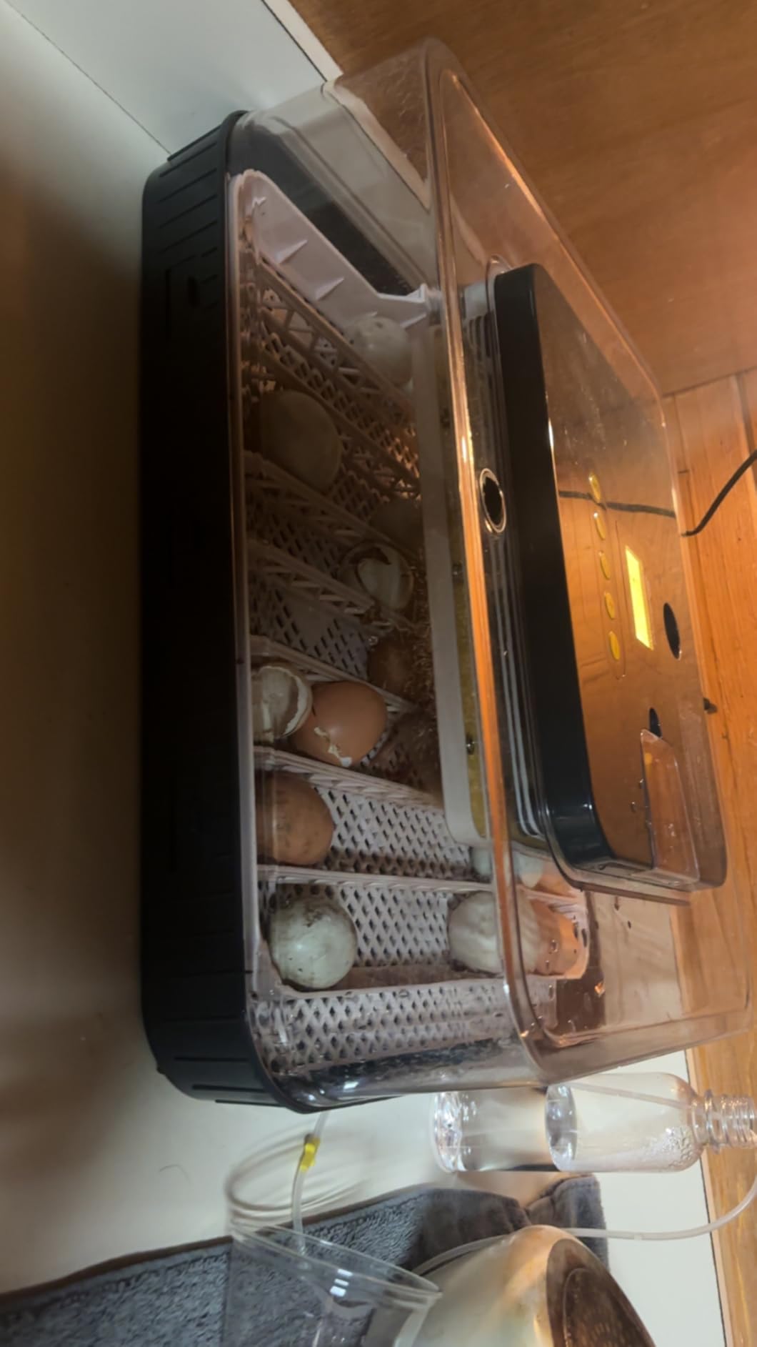 Sailnovo 56 Egg Incubator for Hatching Eggs with Automatic Egg Turning Gray customer photo 1