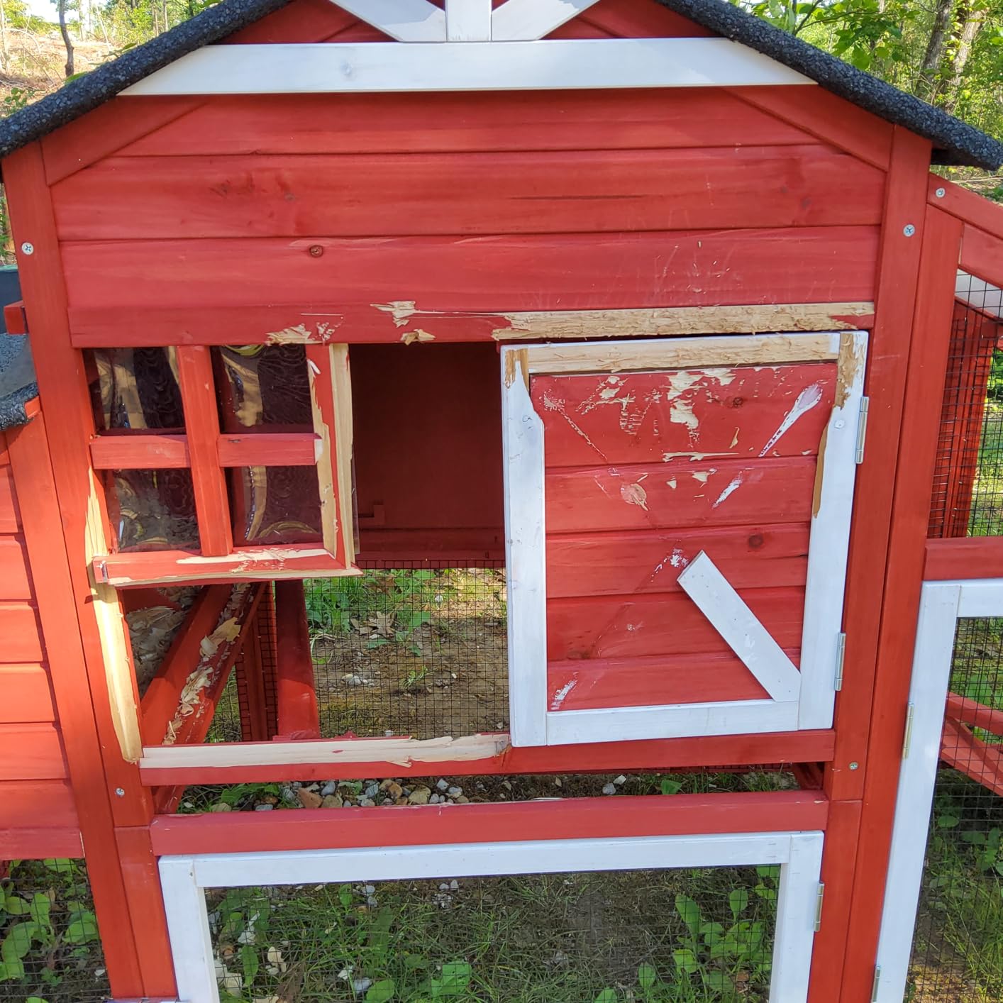 Chicken Coop with Wheels Wooden Outdoor Chicken House Easy Cleaning with Nesting Box, Deeper Leakproof Pull-Out Tray and UV Proof Panel Roof - Reinforced Version - Red customer photo 1
