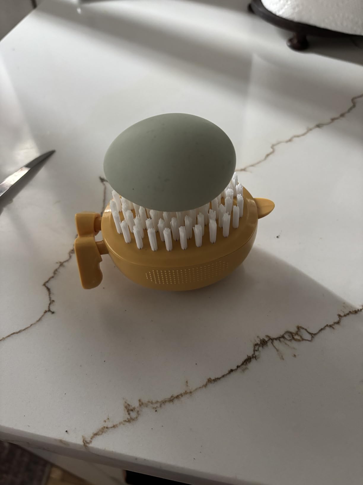 Lumkew Egg Washer Cleaner for Fresh Eggs, Egg Wash and Brush Scrubber, 1pcs customer photo 2