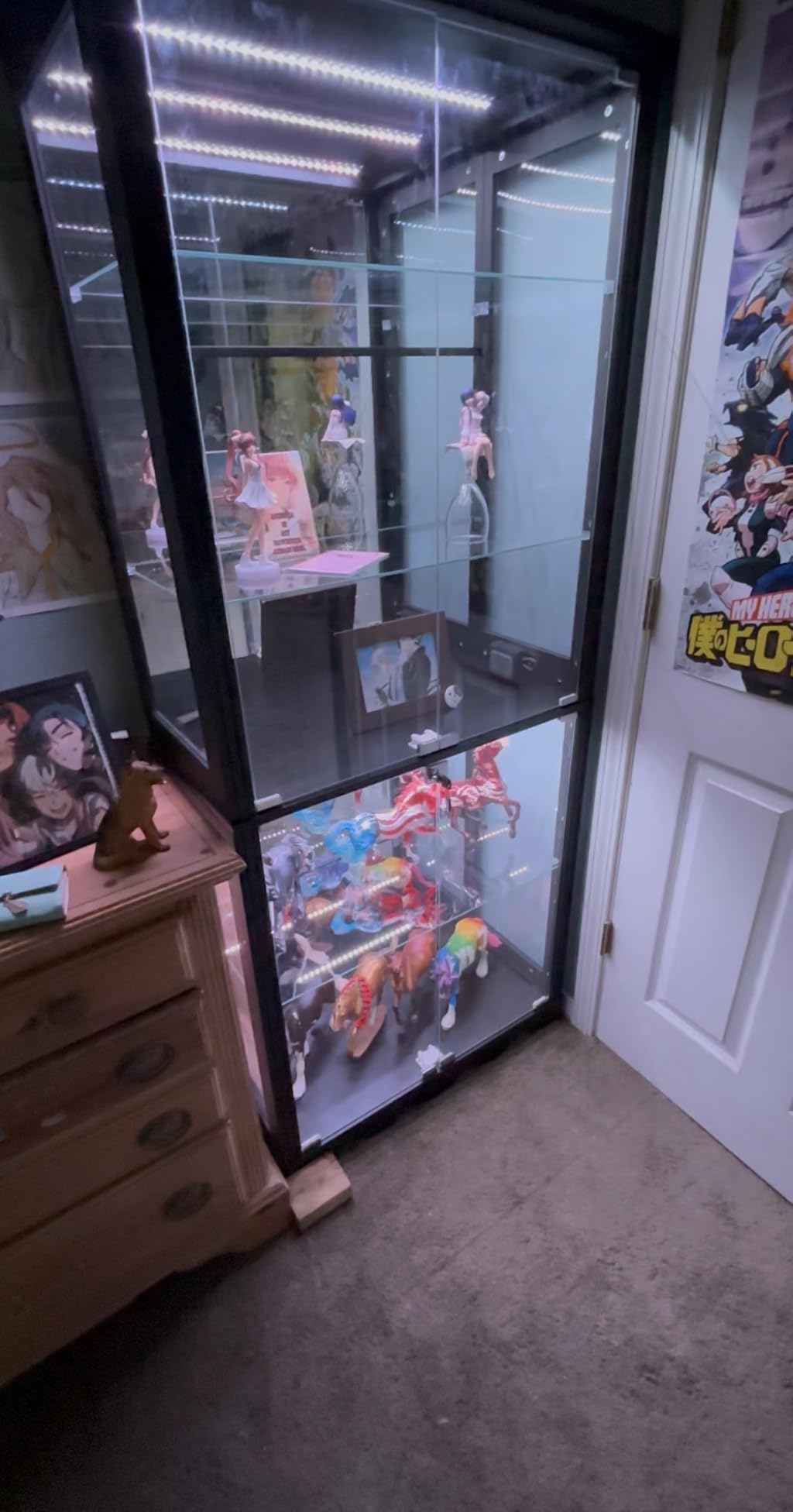 Dystler Display Cabinet with Glass Doors, RGB Lights for Collectibles customer photo 1