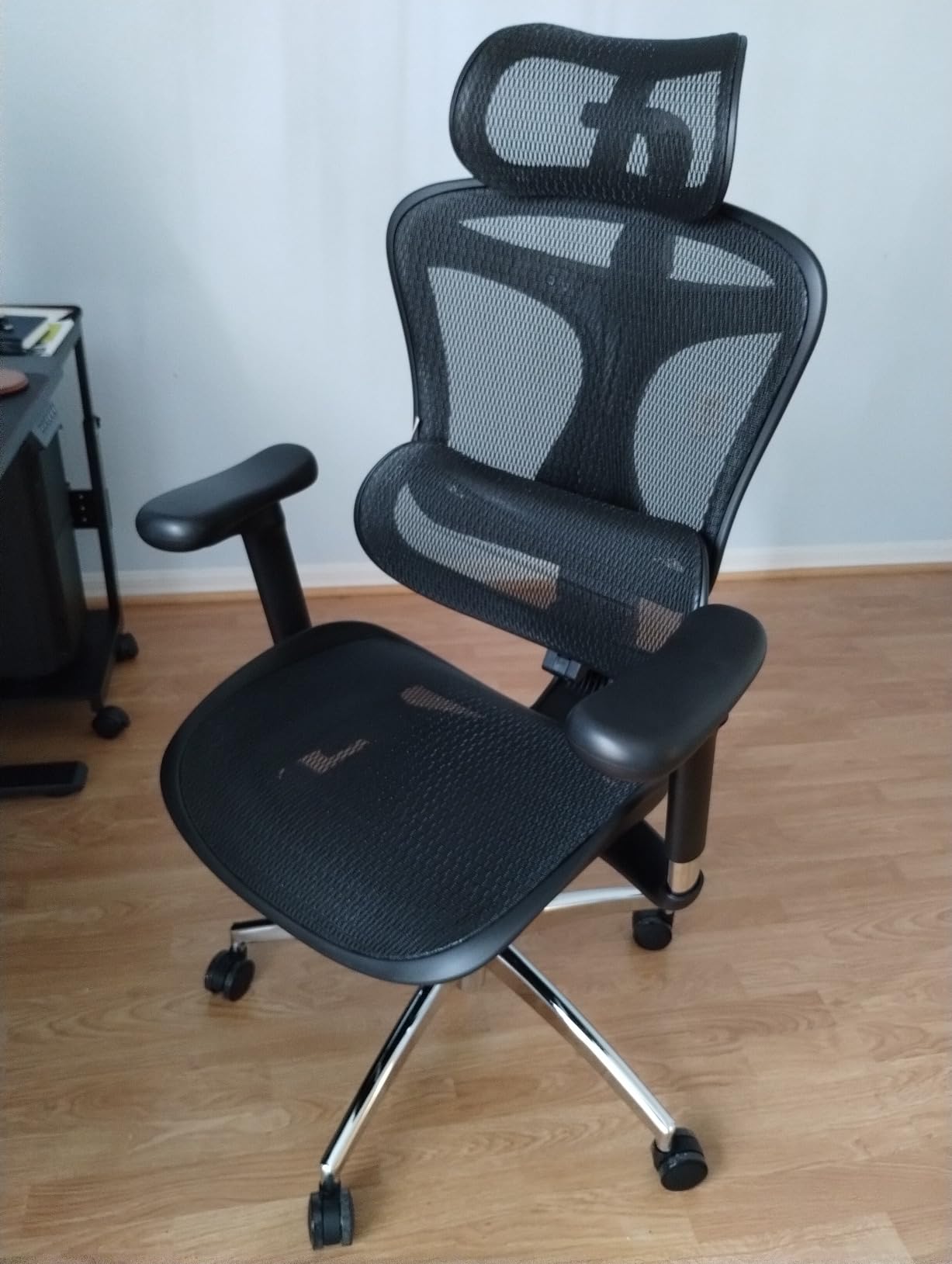 SIHOO Doro C300 Pro Ergonomic Office Chair with Ultra-Soft 6D Armrests customer photo 1