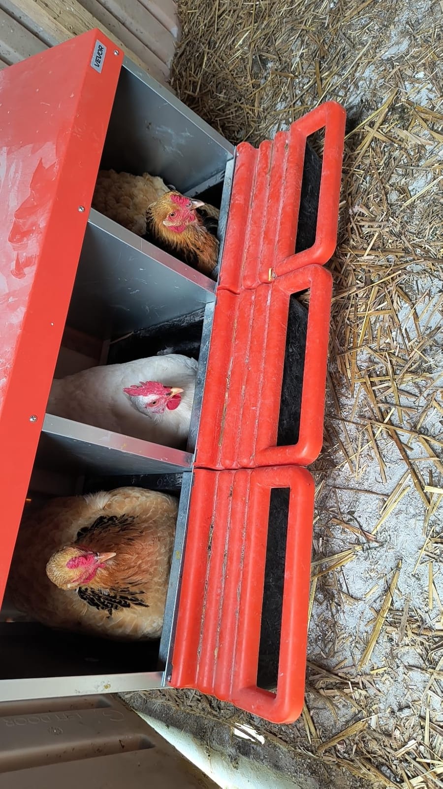 VEVOR 2 Tiers Chicken Nesting Boxes, 6 Compartments, Metal Egg Laying Boxes with Protective Collection Lids, Roll Out Nesting Box, Easy to Assemble, Ideal for Hens, Ducks, Chickens, and Other Poultry customer photo 2