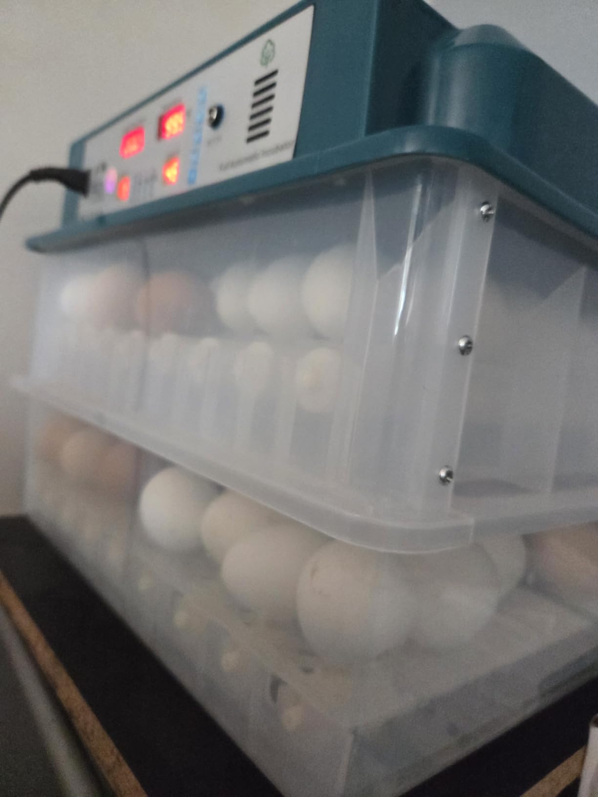 Egg Incubator for Hatching 120 Eggs with 5 Auto Incubation Models customer photo 1