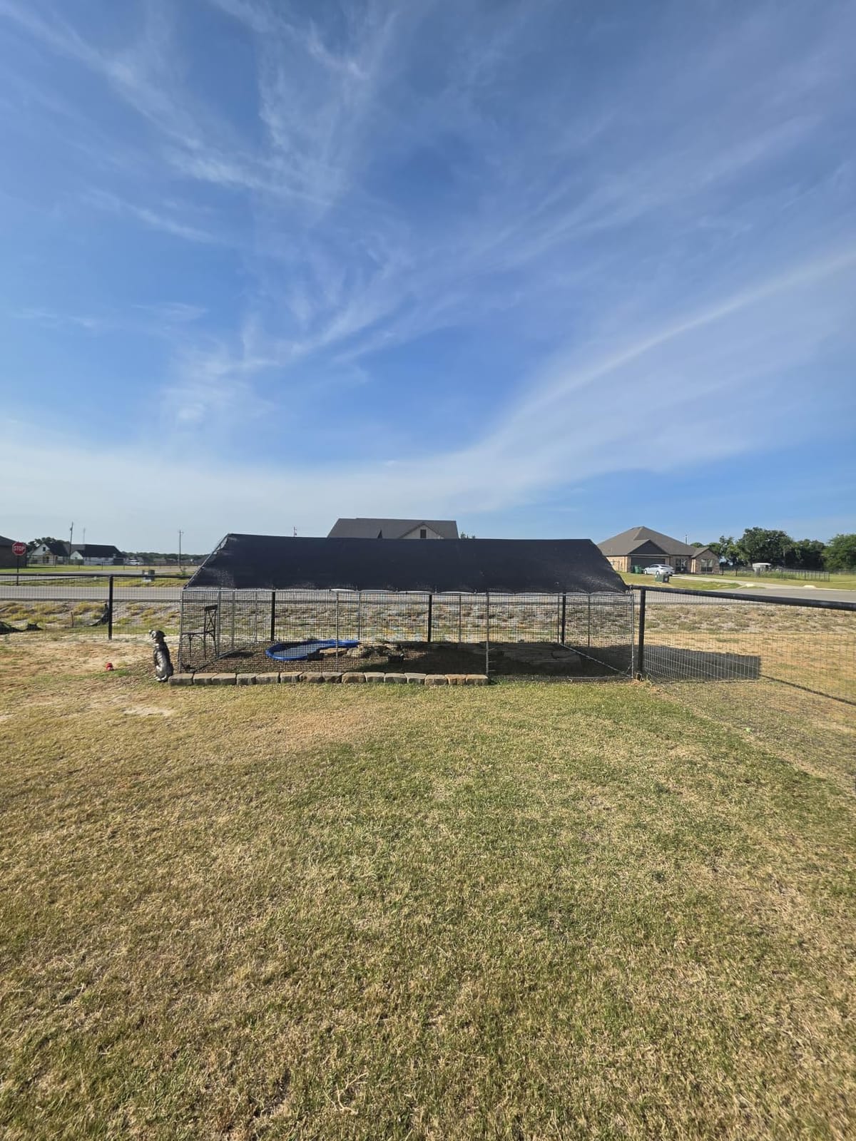 CAMMOO Walk in Chicken Coop, 9.8x6.6x6.6ft Chicken Run for Yard with Cover customer photo 1