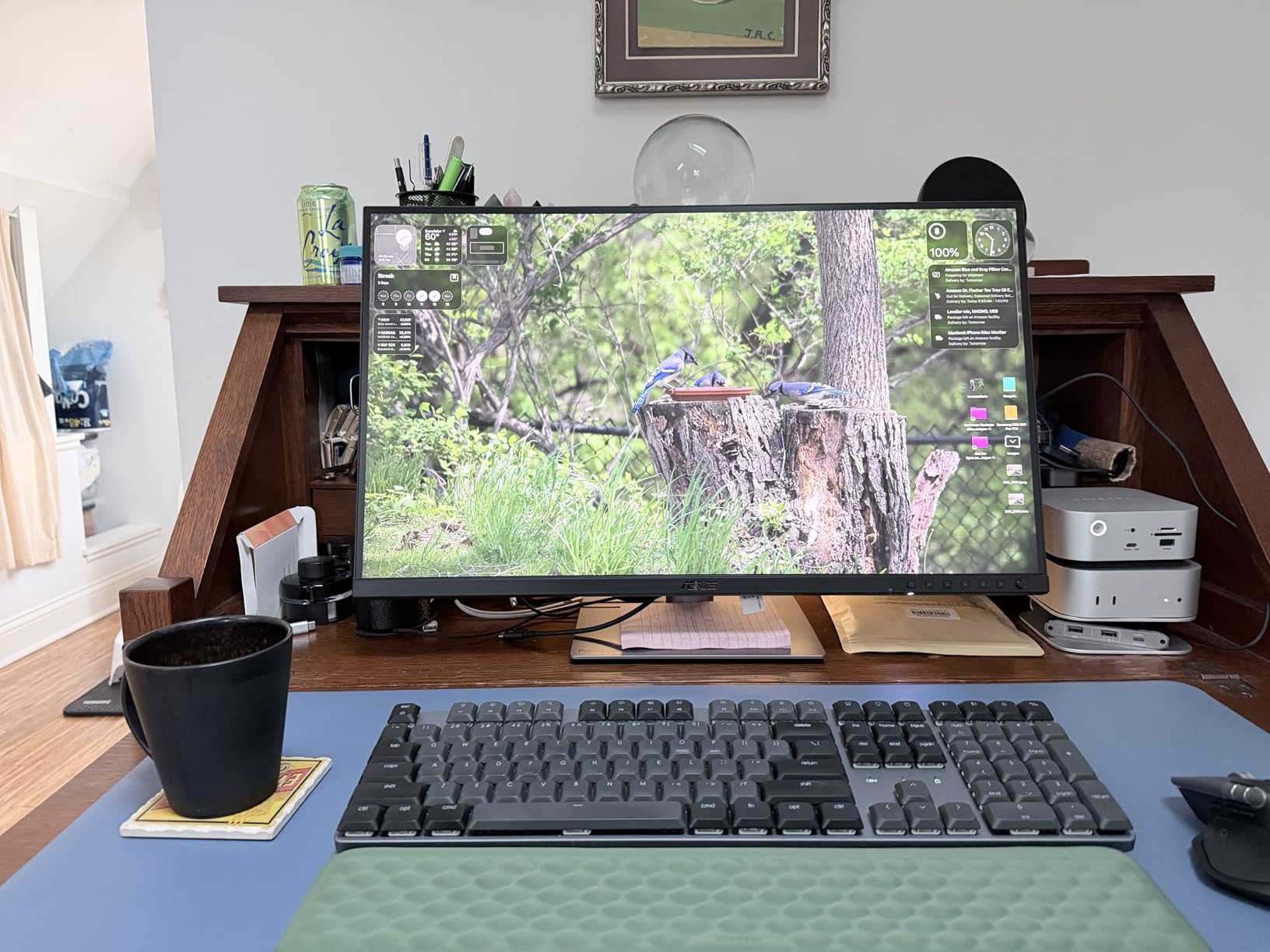 ASUS ProArt PA278CGRV 27 Inch 1440p USB-C Professional Monitor for Mac customer photo 1