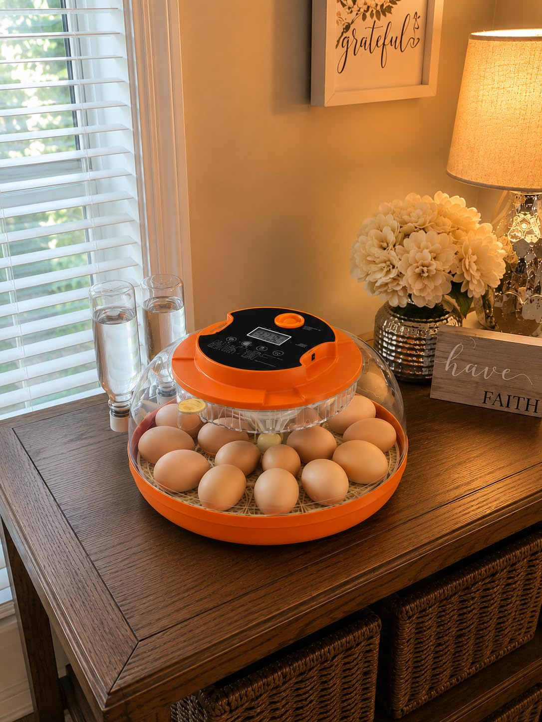 18 Egg Incubators for Hatching Eggs, Automatic Egg Turning and Humidity Control Incubator for Hatch Chicken Duck Quail Pigeon Pheasant Partridge Home Classroom Lab- customer photo 1