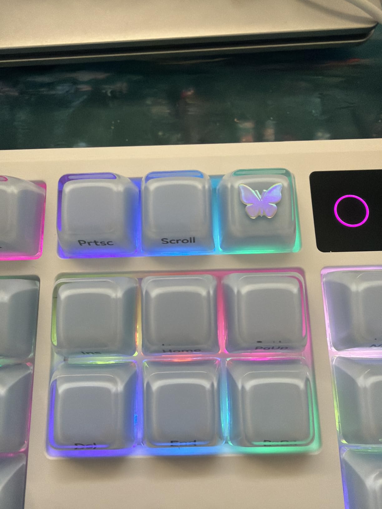 EPOMAKER Lusterfly Jelly Keycaps Set - 123 Keys Double-Shot Laser Engraved customer photo 1