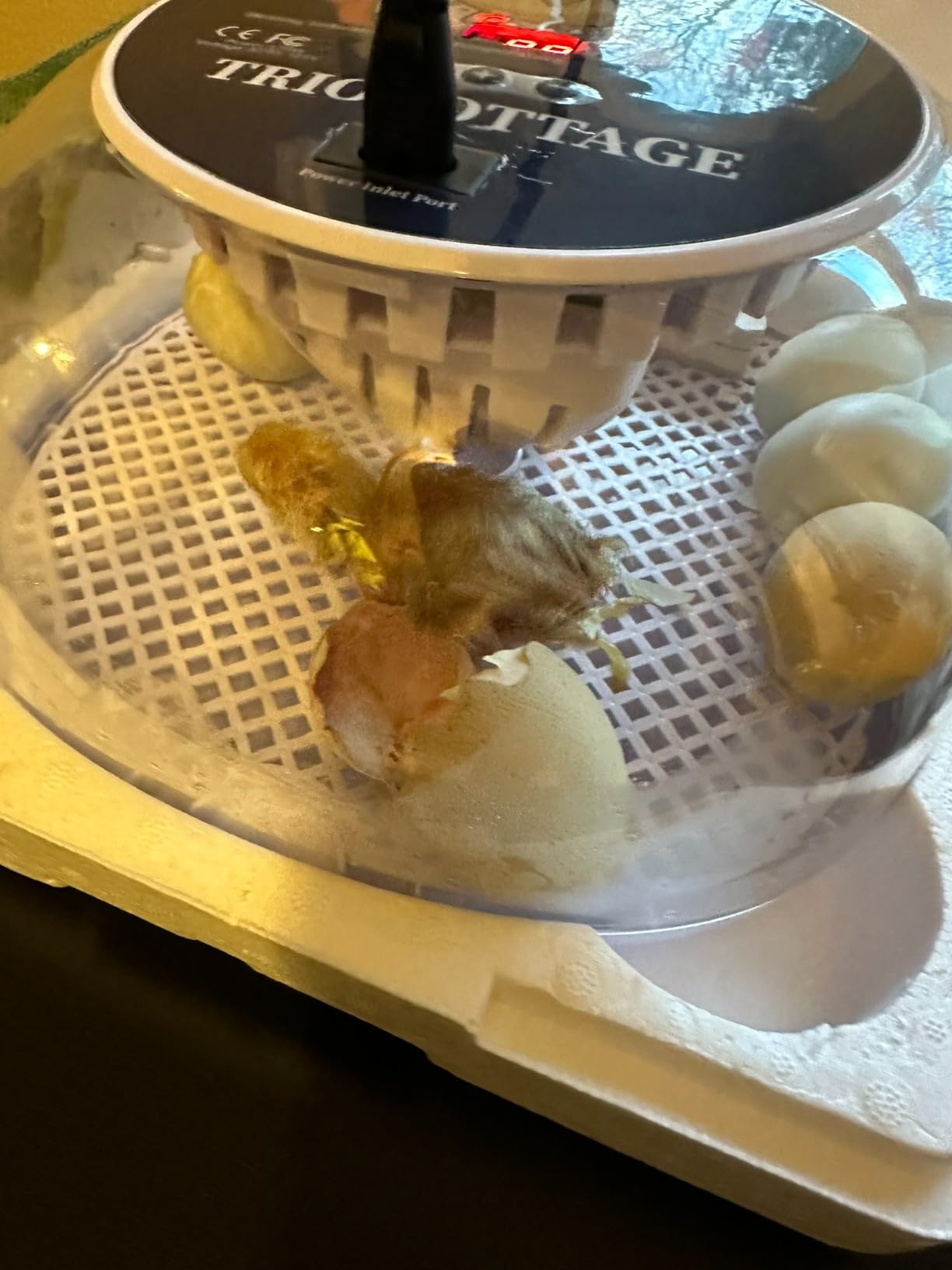 Egg Incubators for Hatching Eggs, Temperature&Humidity Control customer photo 2