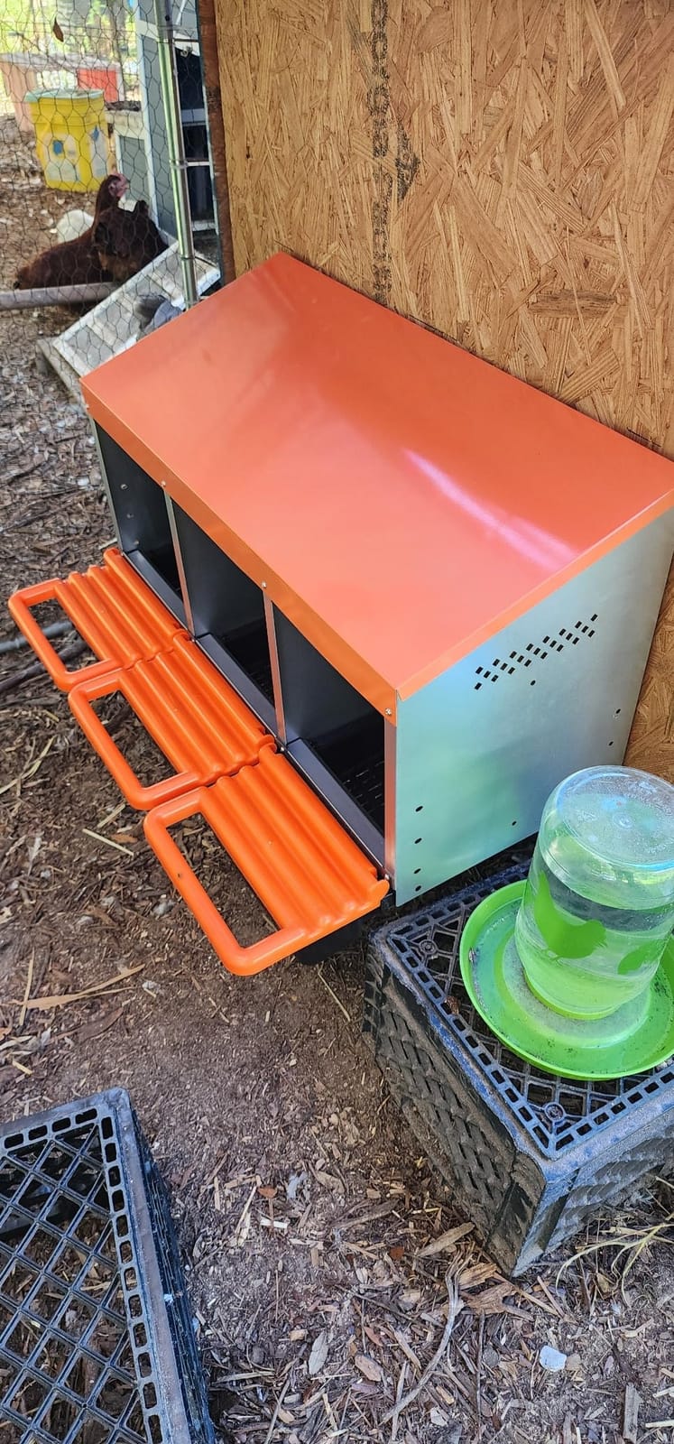 Chicken Nesting Boxes, Roll Away Nest Box for Egg Collector, 6 Holes Orange customer photo 1