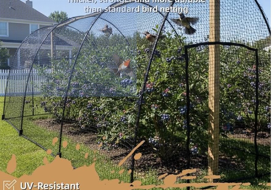 Heavy Duty Bird Netting for Chicken Coop, 19.5 x 19.5 ft 0.8”Mesh HDPE Chicken Netting for Hawks with Reinforced Edges, Durable & Reusable Poultry Netting for Garden Raised Beds & Fruit Trees customer photo 1