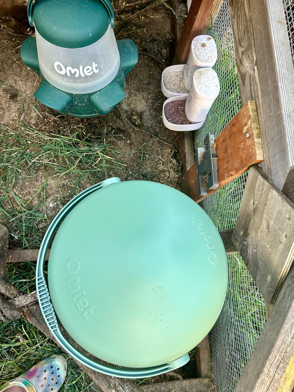 Omlet Insulated Chicken Waterer, 3 Gallon | Automatic Poultry Water Dispenser with 5 Cups & Nipples Included | BPA-Free | Anti-Roost Lid | Sage Green customer photo 2