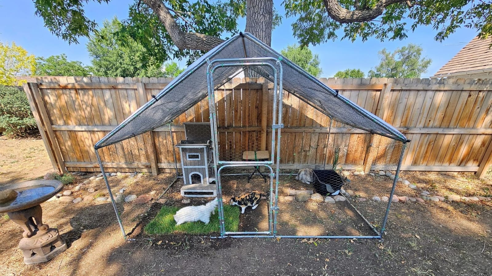 UDPATIO Large Metal Chicken Coop Walk in Run House Pen Galvanized Frame customer photo 2