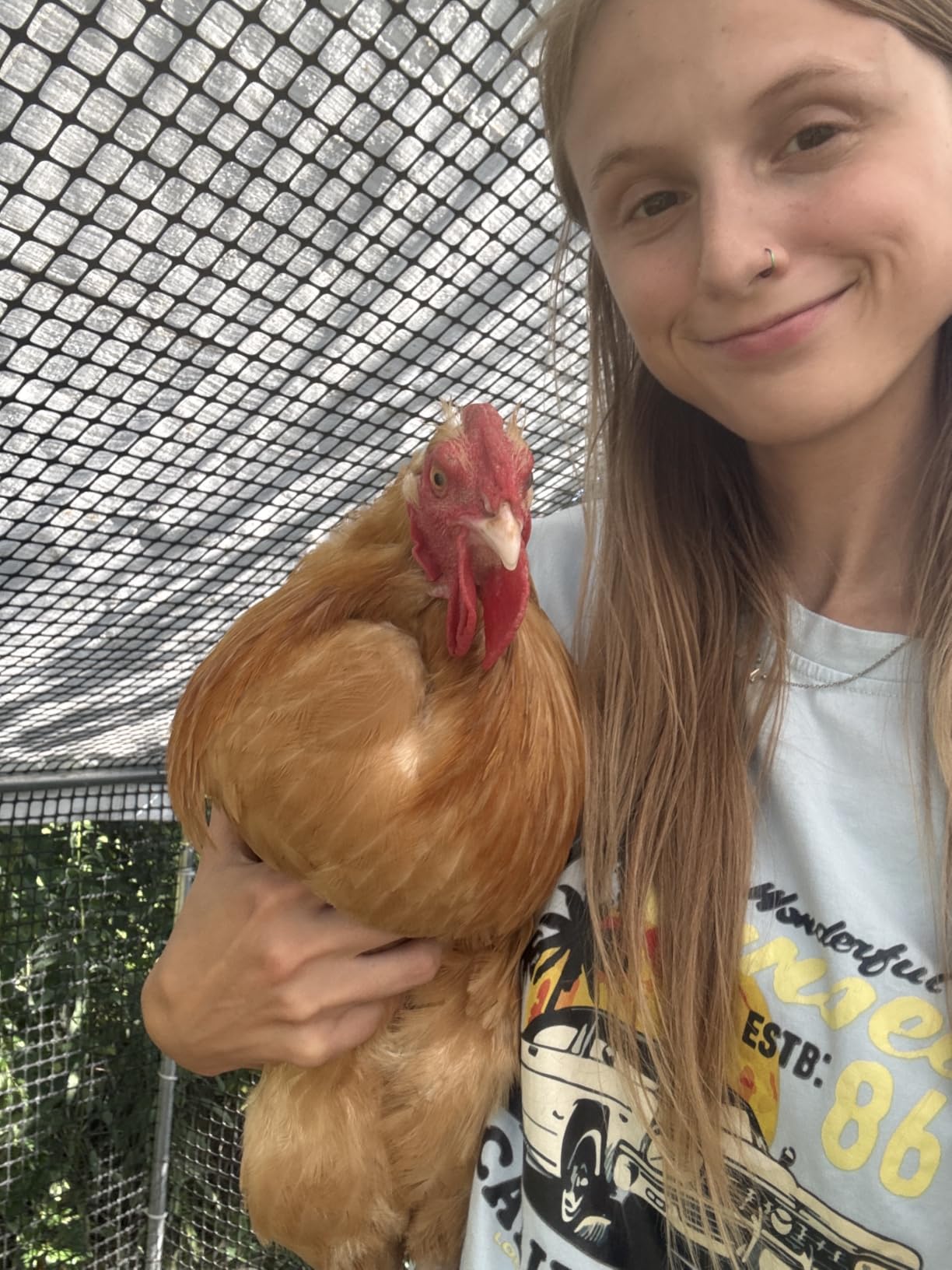 CAMMOO Walk in Chicken Coop, 19.7x9.8x6.6ft Chicken Run for Yard with Cover customer photo 2