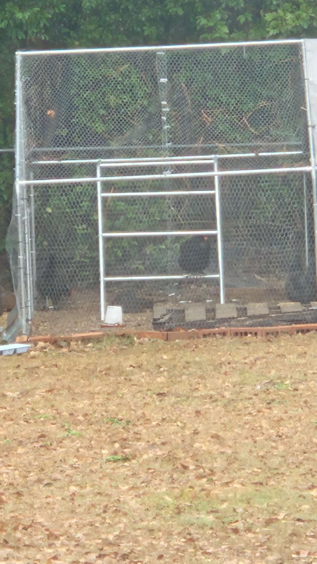 Quictent 18x9x6.6ft Large Metal Chicken Coop Run with Hardware Cloth customer photo 1