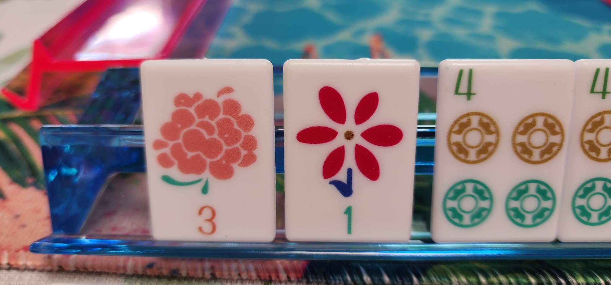 160 Printed American Mahjong Tile Set with 4 Racks & Carrying Bag and Accessories, 1.41’’ Portable Travel Mahjong Game Set customer photo 1
