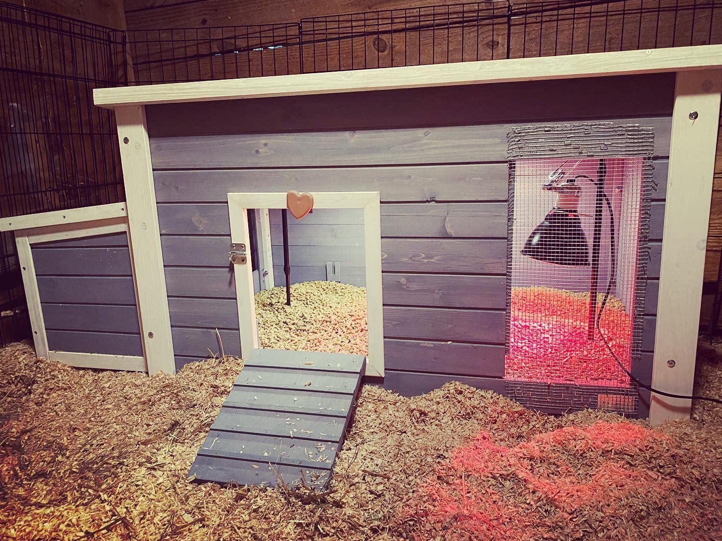 Petsfit Outdoor Chicken Coop with Run for 4-6 Chickens, 3 Nesting Boxes customer photo 2