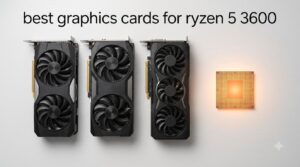 best graphics cards for ryzen 5 3600