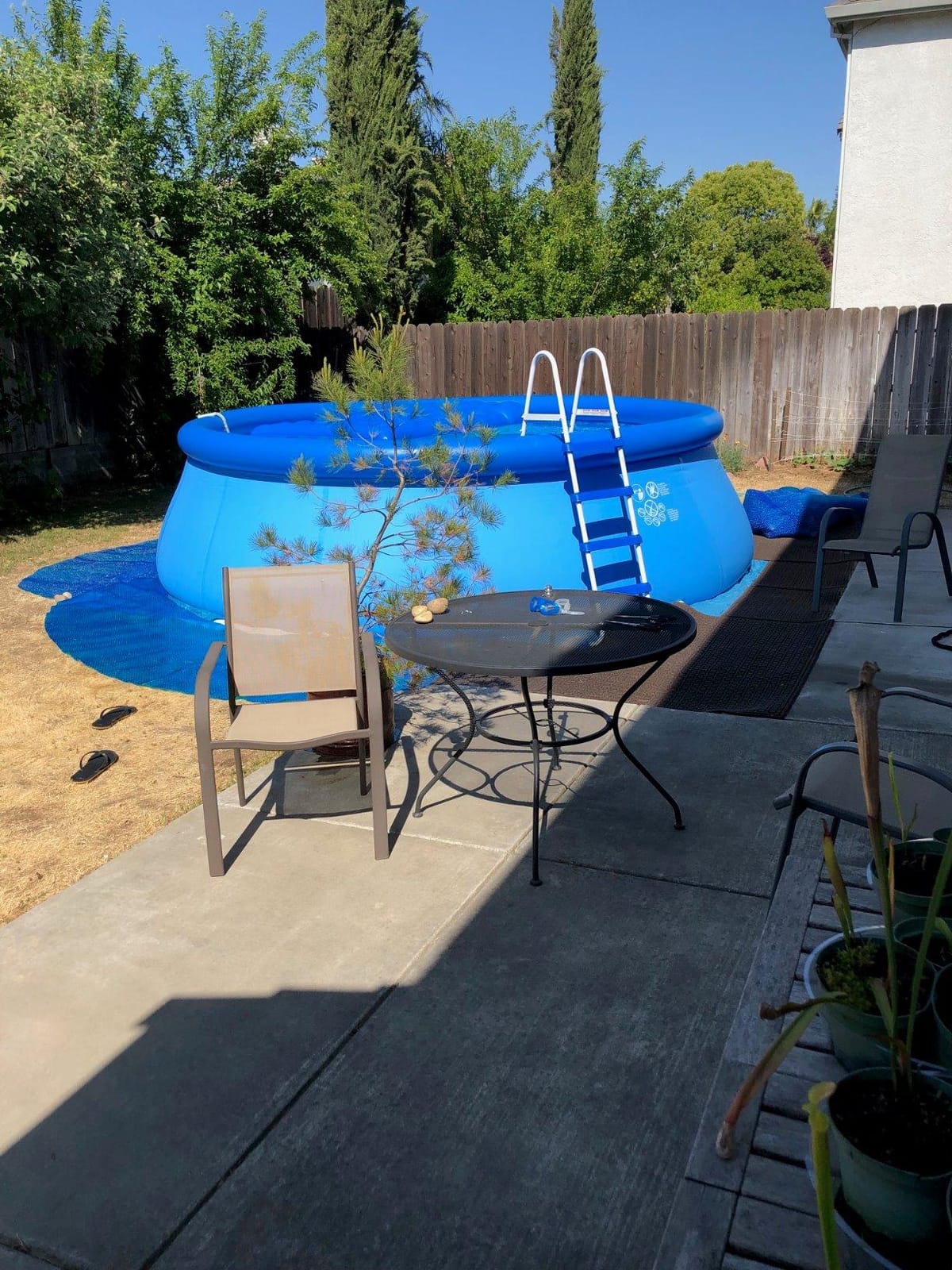 INTEX Easy Set 15 ft x 48in Inflatable Ring Above Ground Pool Set w/Pump customer photo 1